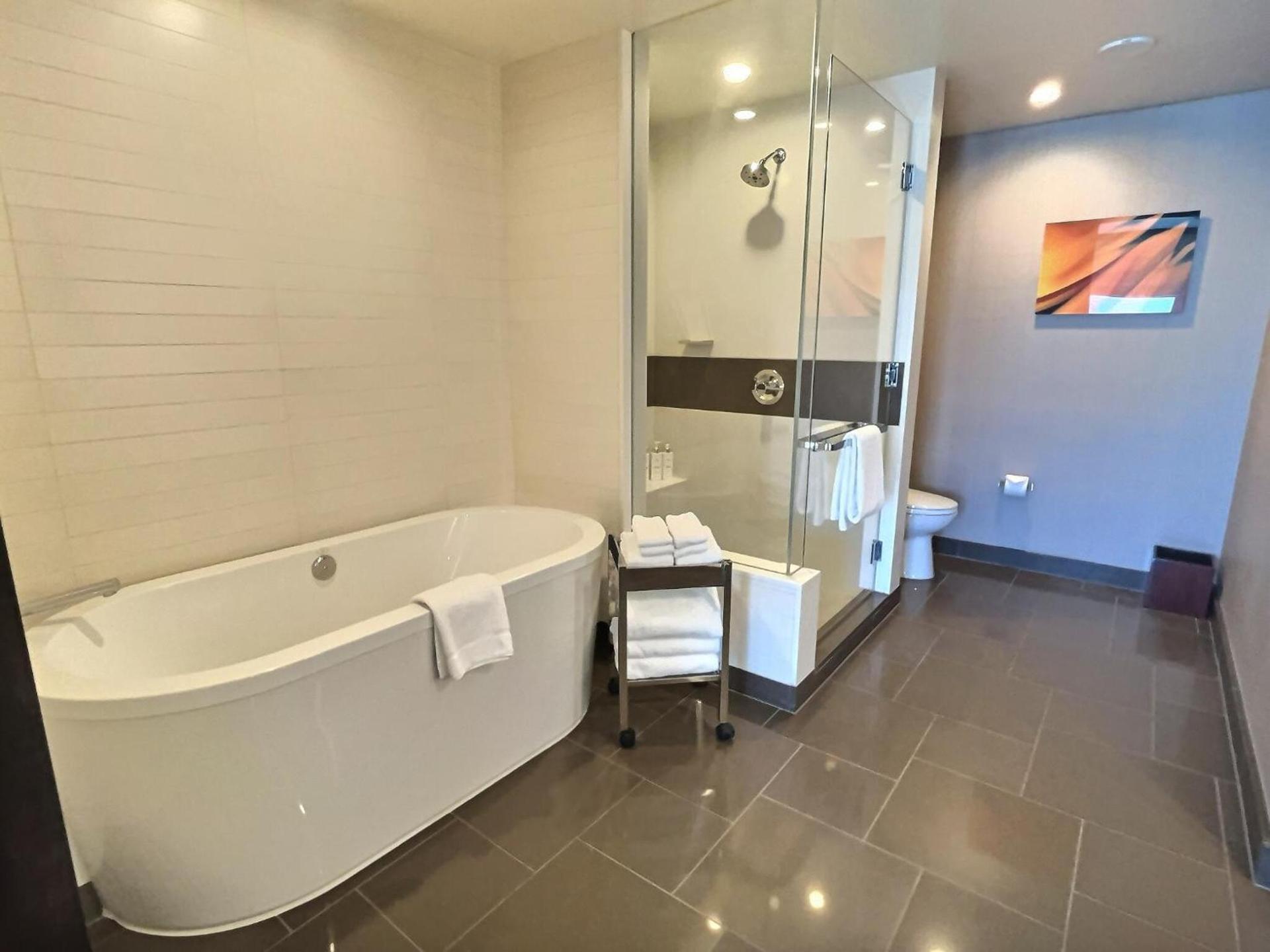 Jet Luxury at The Vdara photo 81