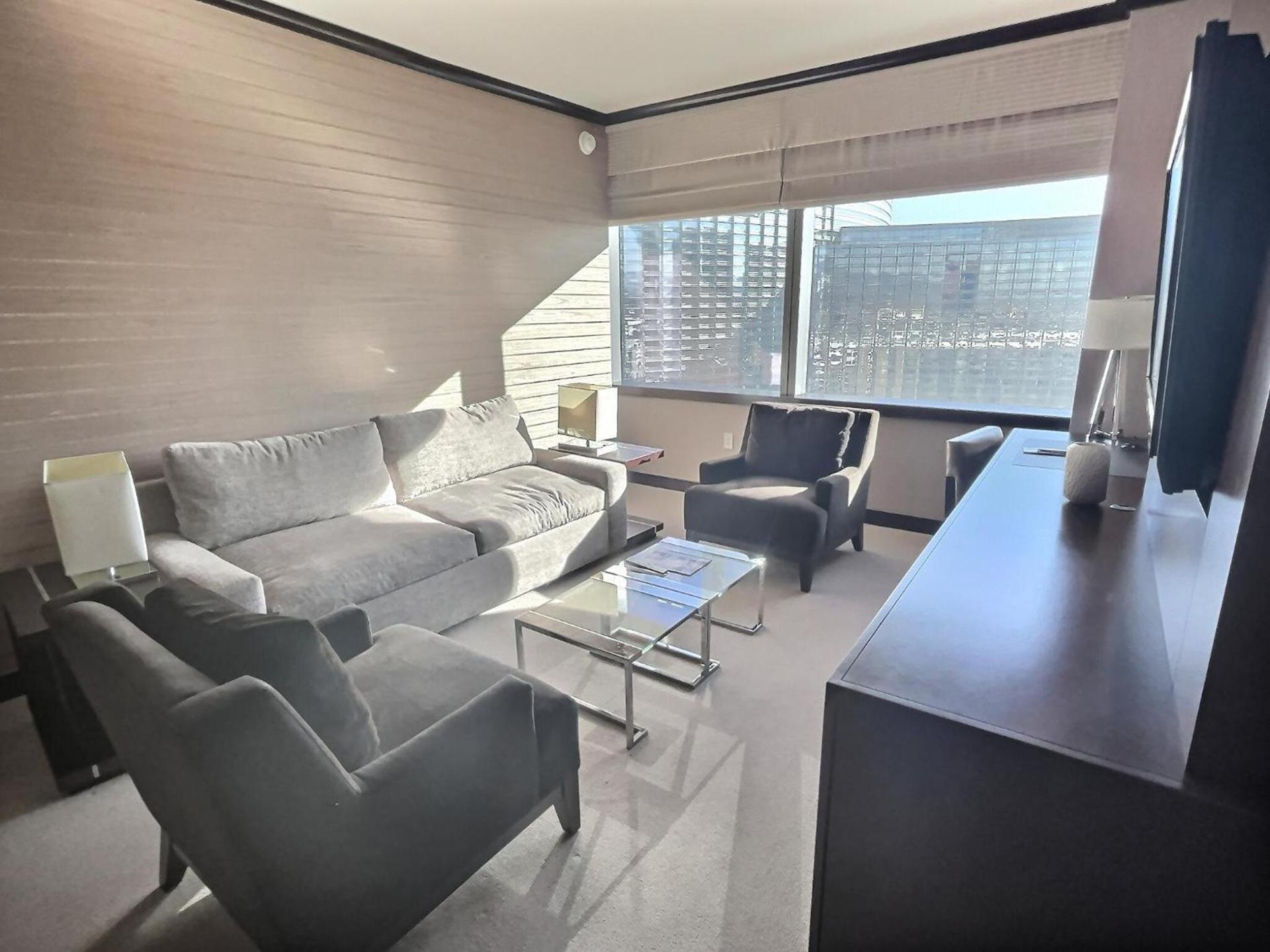 Jet Luxury at The Vdara photo 85