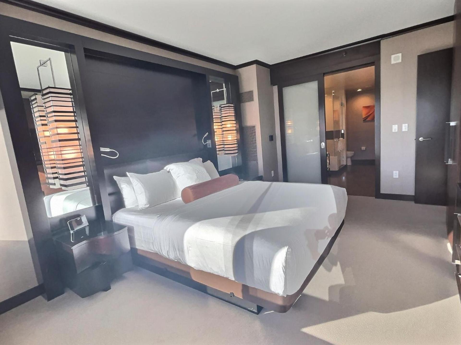 Jet Luxury at The Vdara photo 88