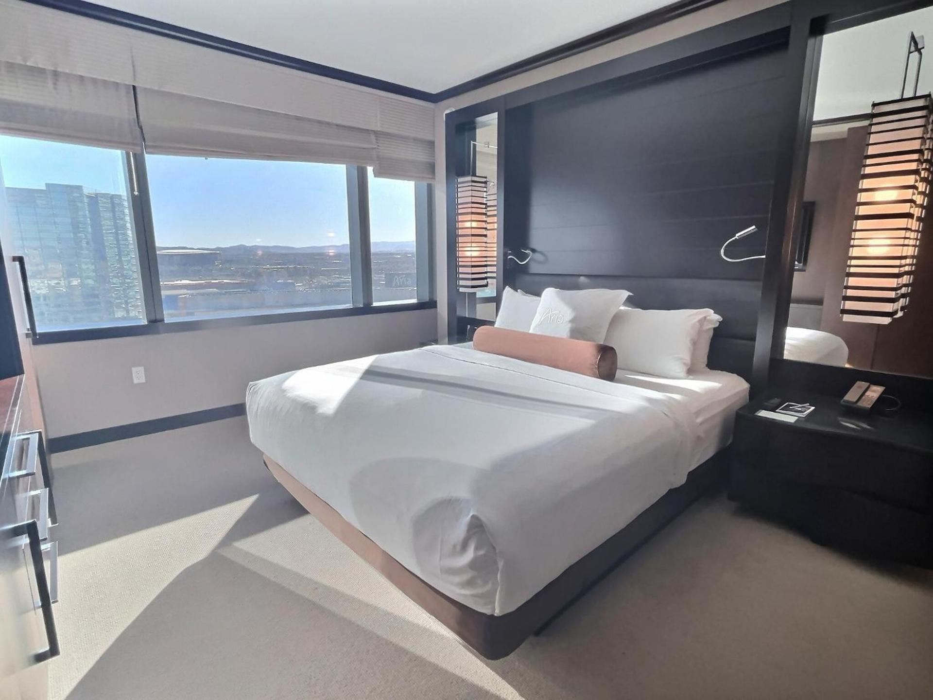 Jet Luxury at The Vdara photo 86