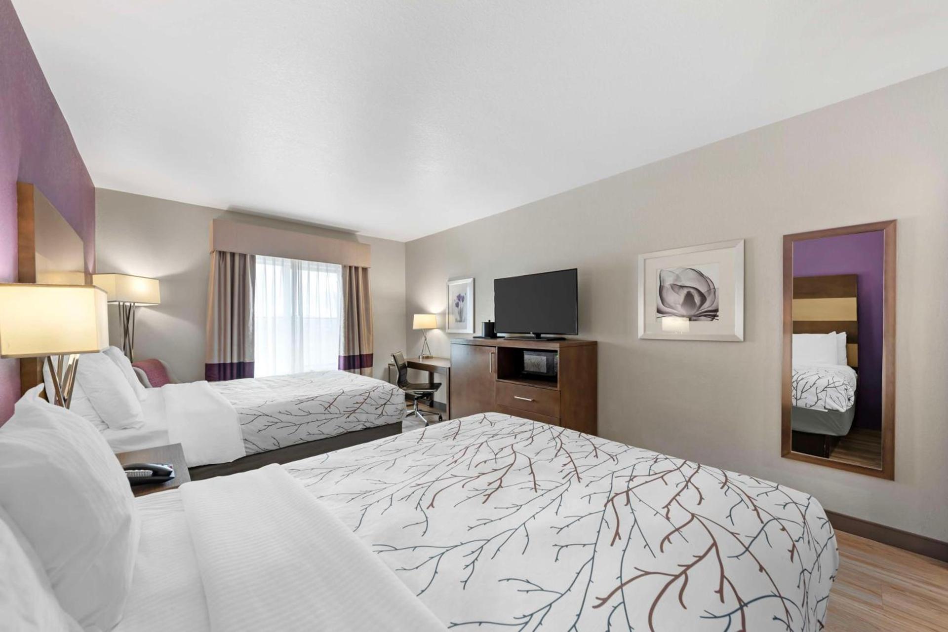 Best Western Plus Buda Austin Inn & Suites photo 14
