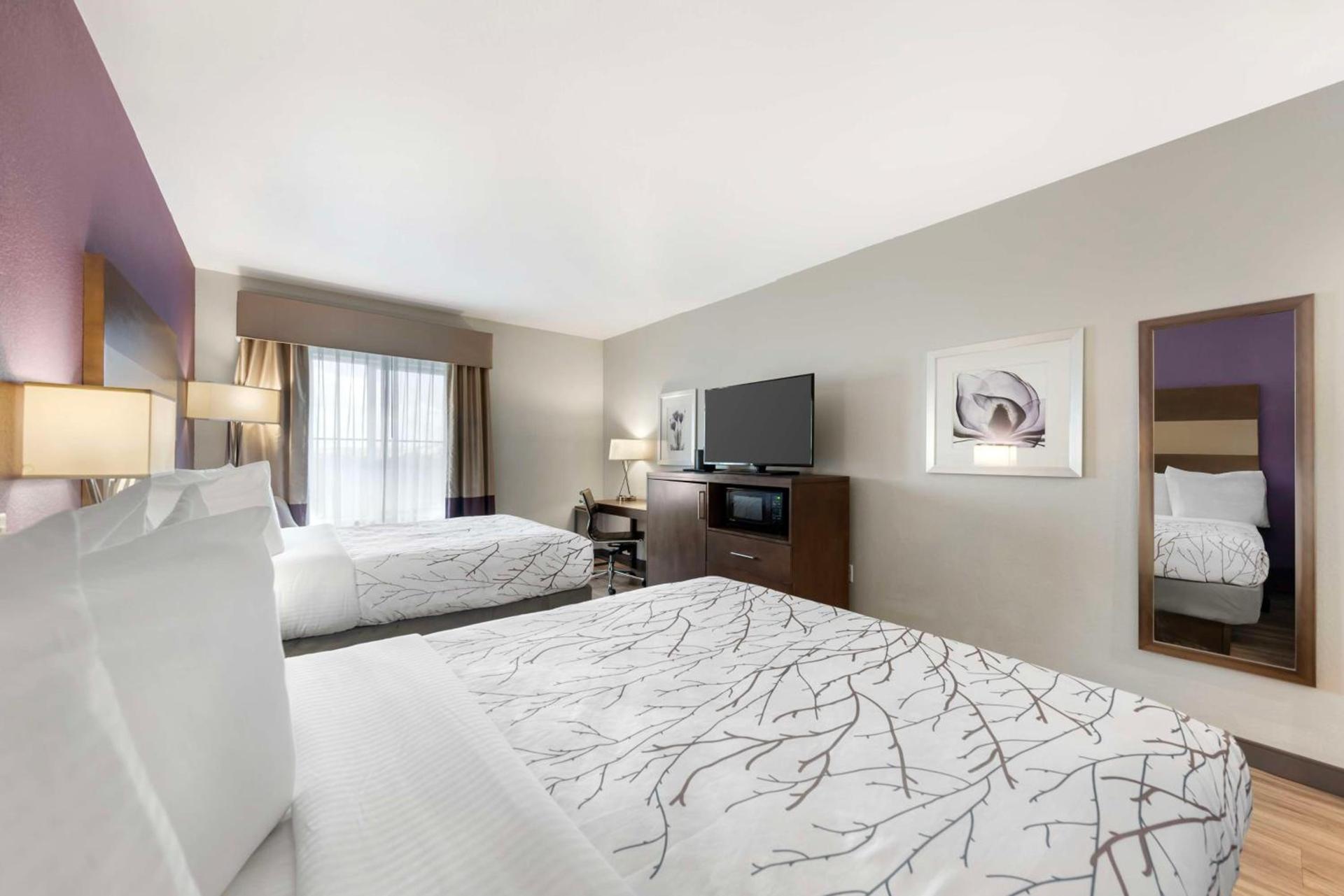 Best Western Plus Buda Austin Inn & Suites photo 19
