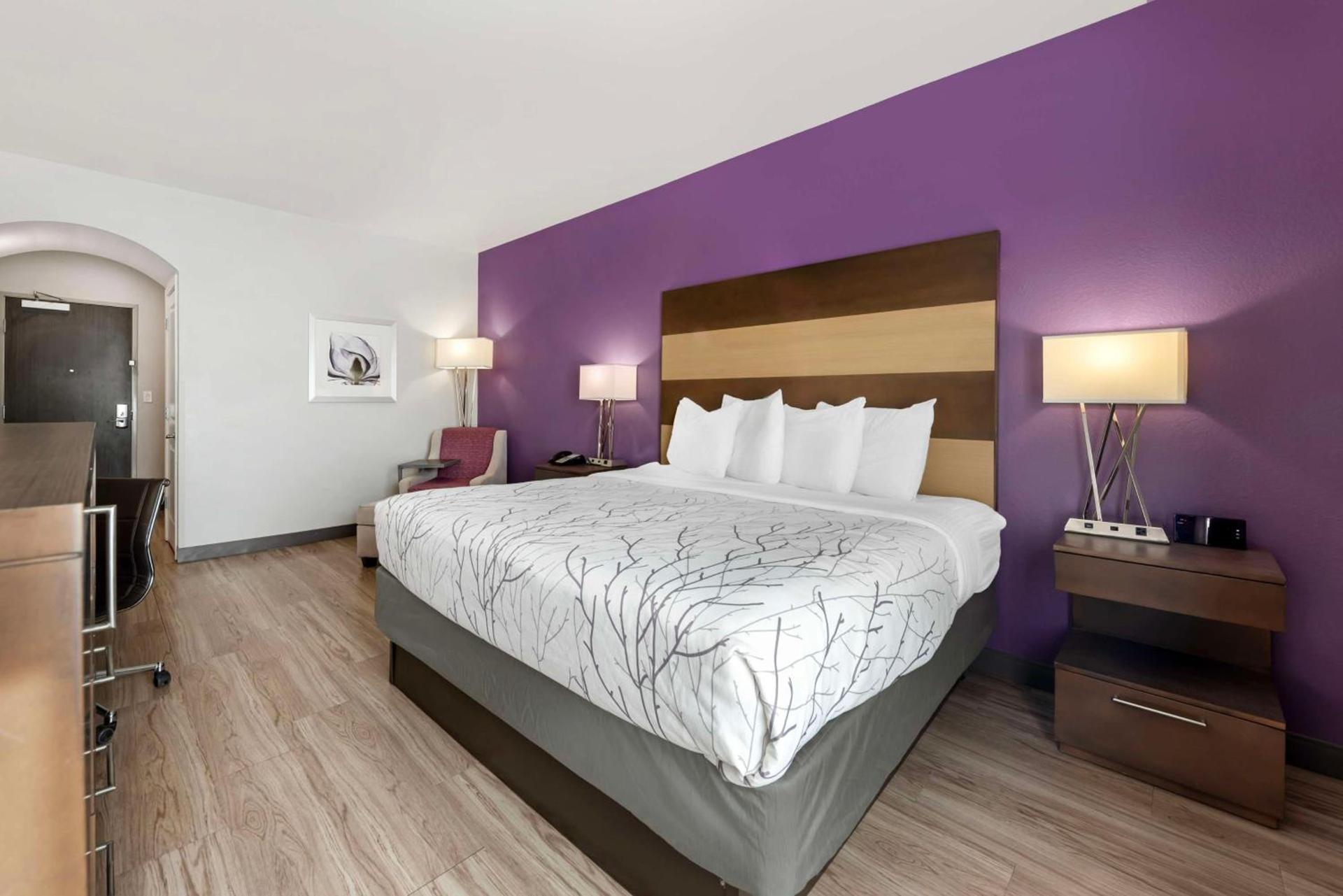 Best Western Plus Buda Austin Inn & Suites photo 29