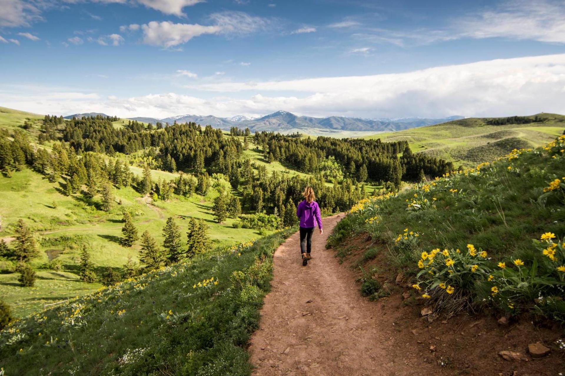 EVEN Hotel Bozeman Yellowstone Intl Arpt by IHG photo 61
