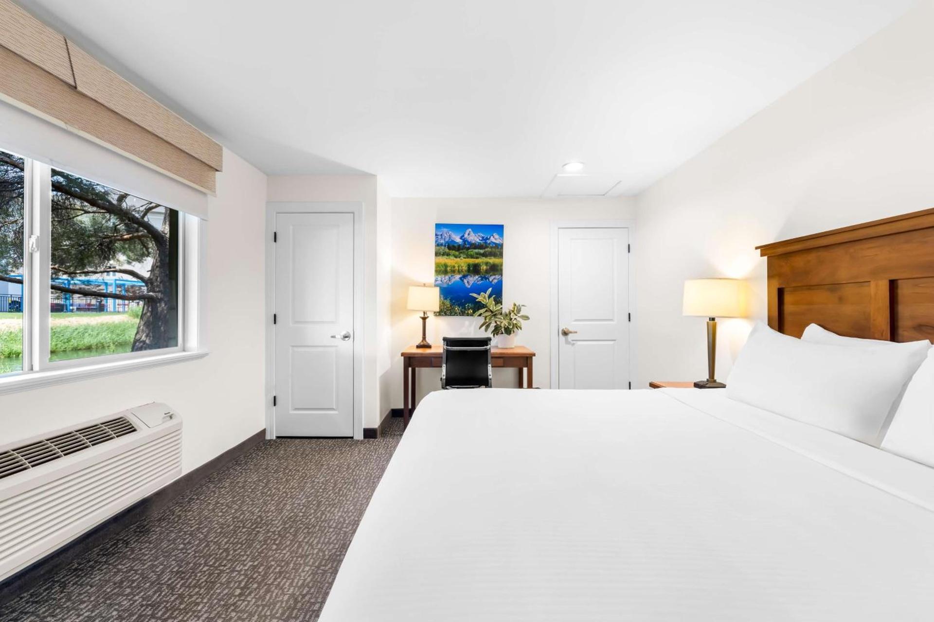 Best Western Driftwood Inn photo 22