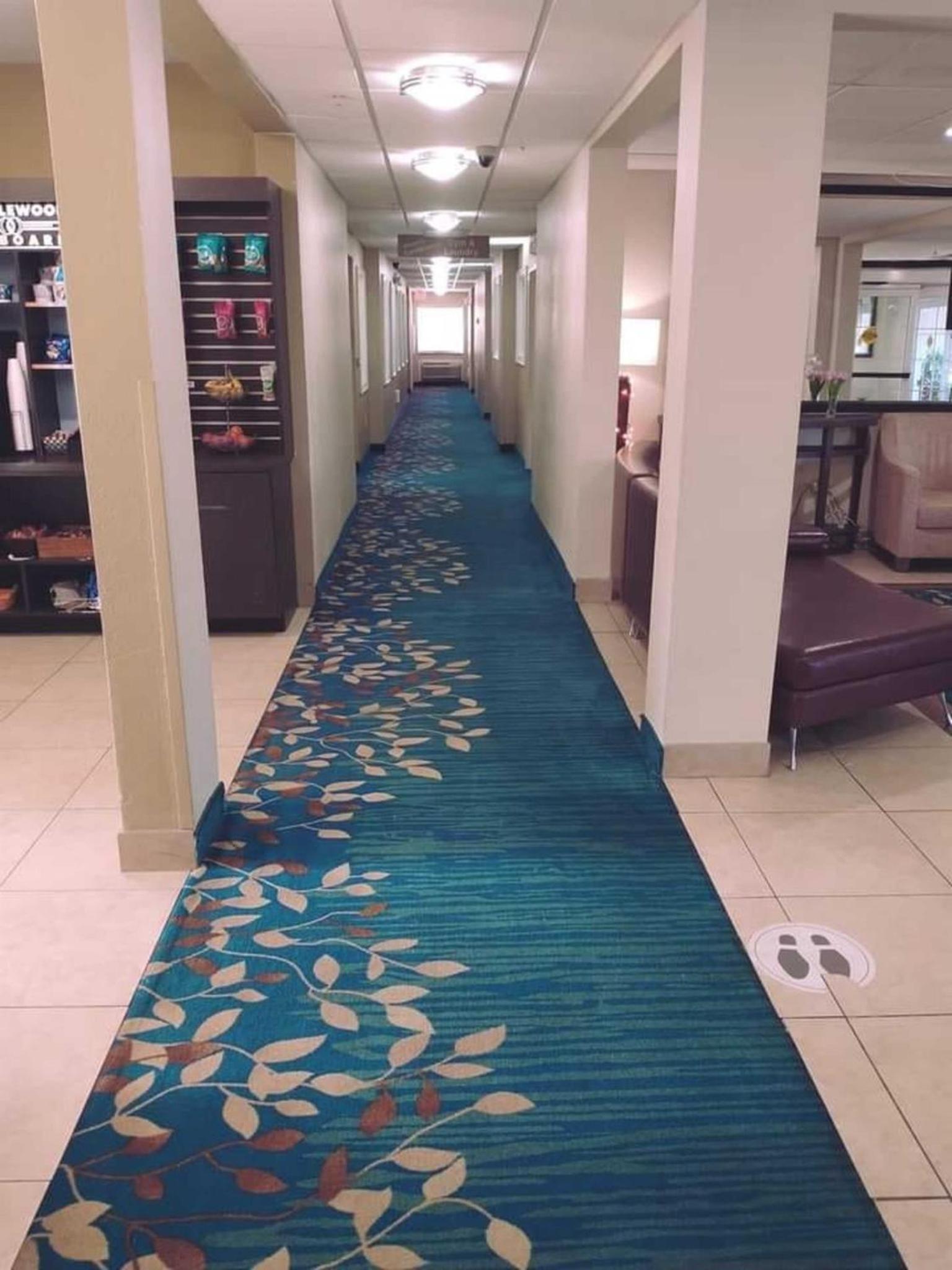 Candlewood Suites Houston Medical Center by IHG photo 42