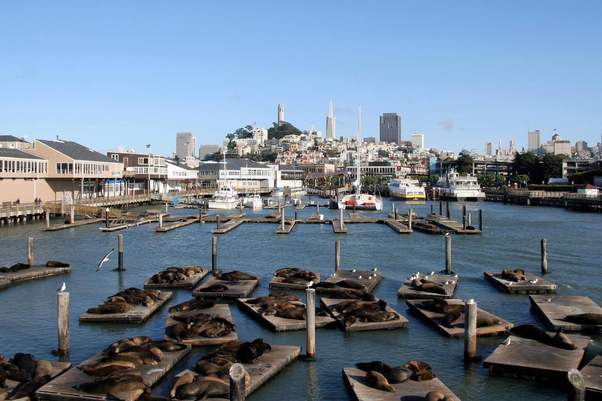 Hotel Zoe Fisherman's Wharf photo 30