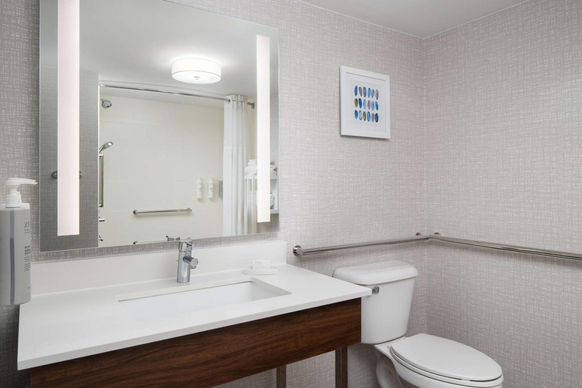 Hampton Inn Roanoke/Hollins - I-81 photo 19