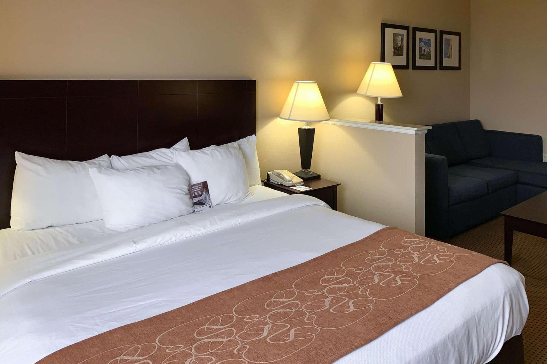 Comfort Suites Roanoke - Fort Worth North photo 45