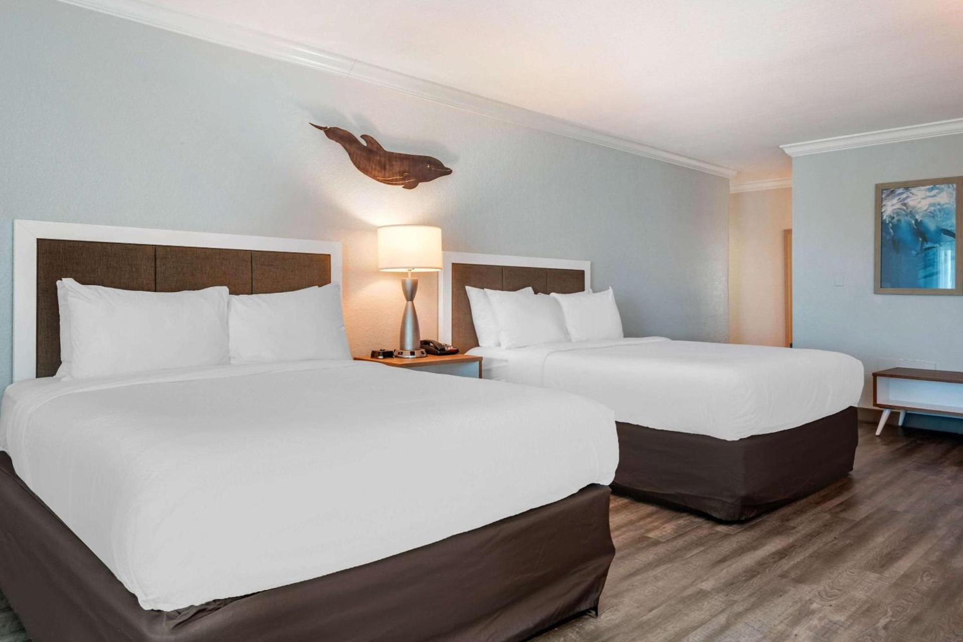 Dolphin Sands Clearwater Beach, an Ascend Collection Hotel photo 11