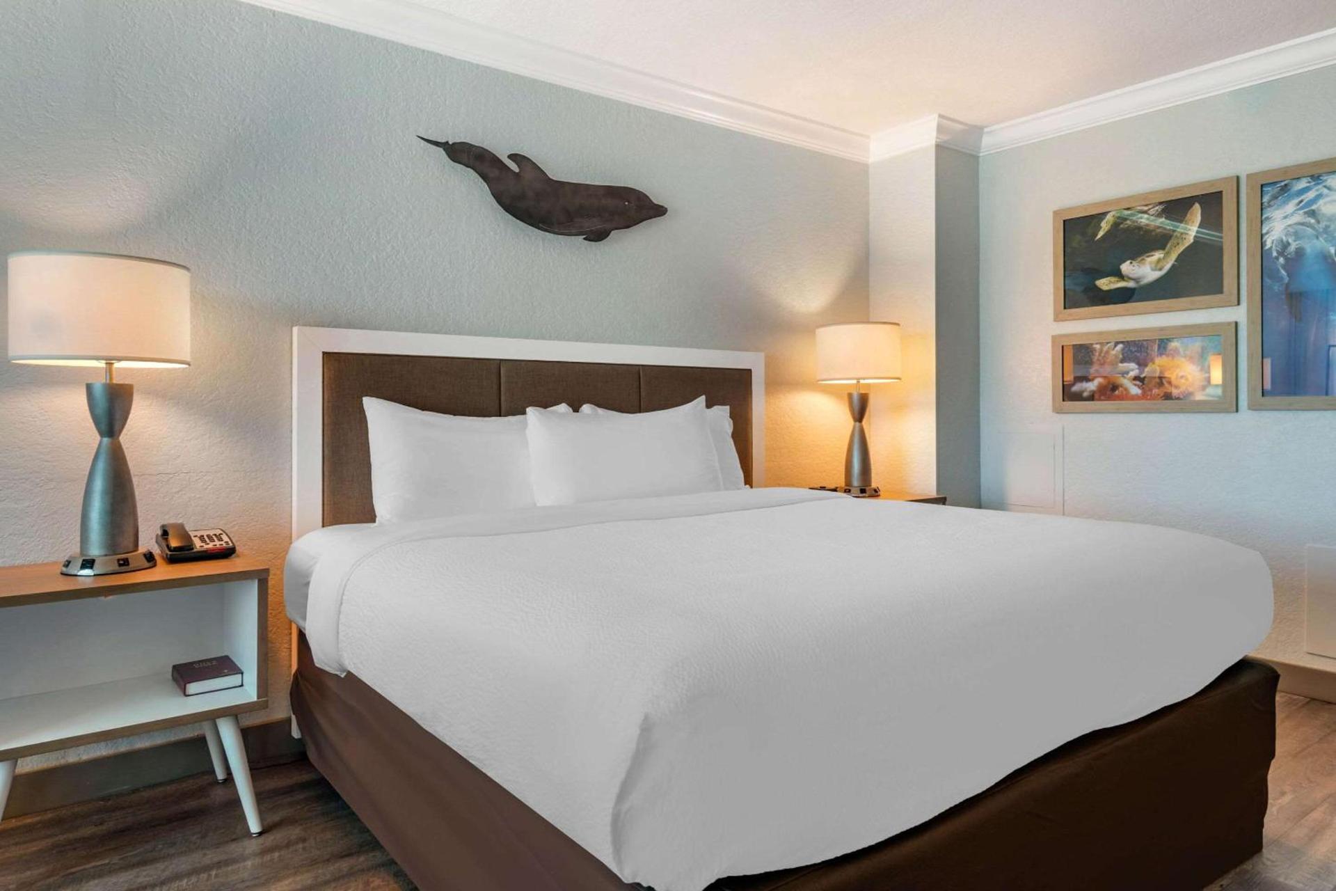 Dolphin Sands Clearwater Beach, an Ascend Collection Hotel photo 13