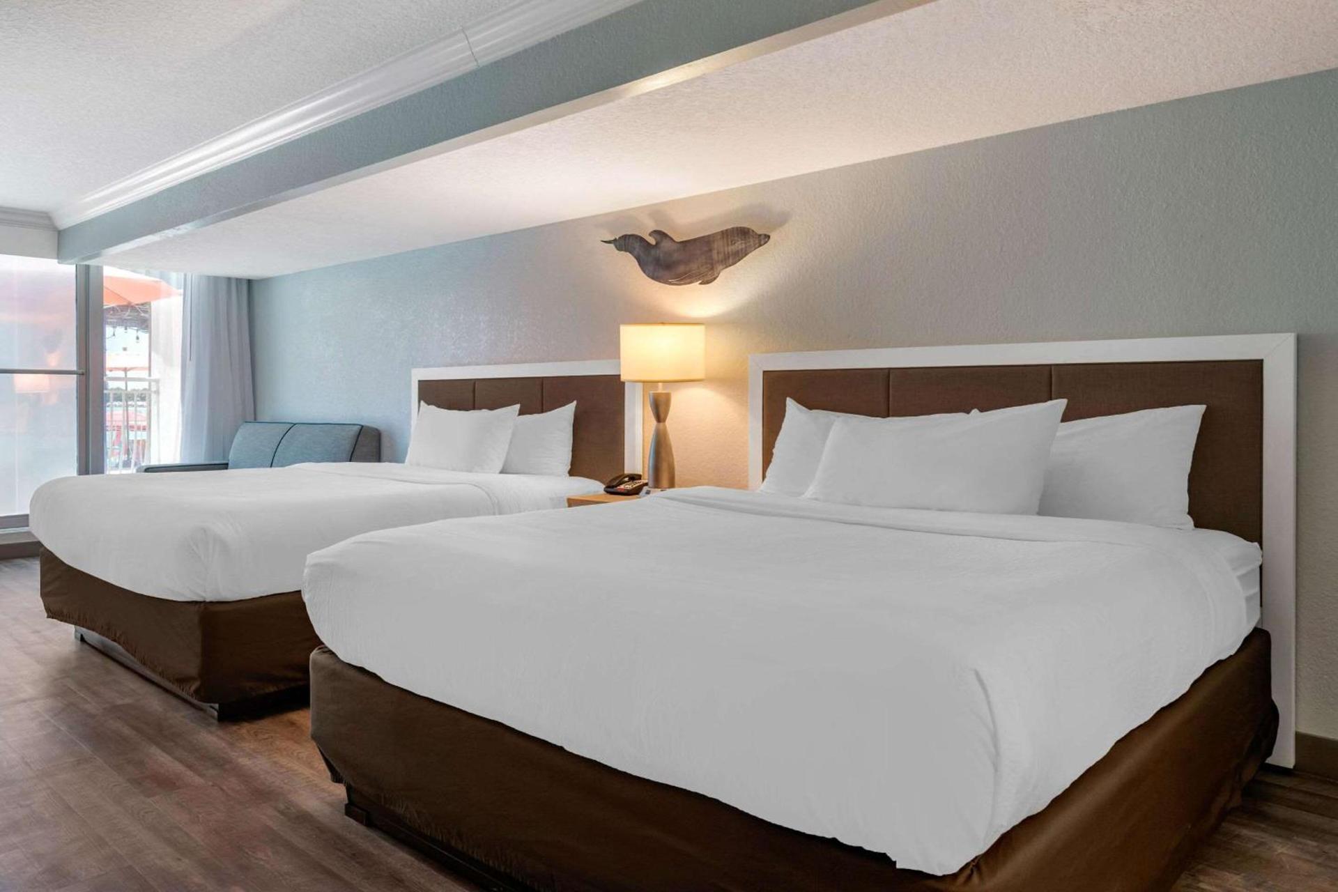 Dolphin Sands Clearwater Beach, an Ascend Collection Hotel photo 21