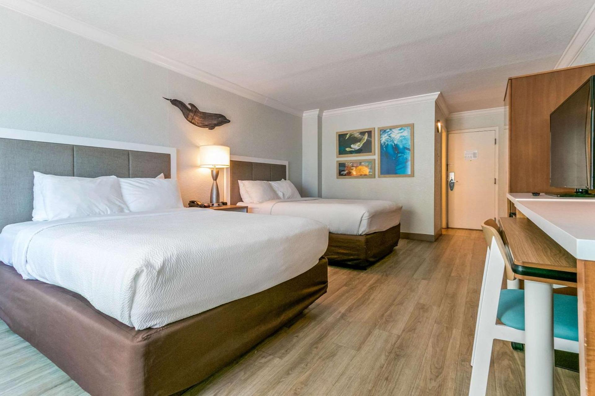 Dolphin Sands Clearwater Beach, an Ascend Collection Hotel photo 49