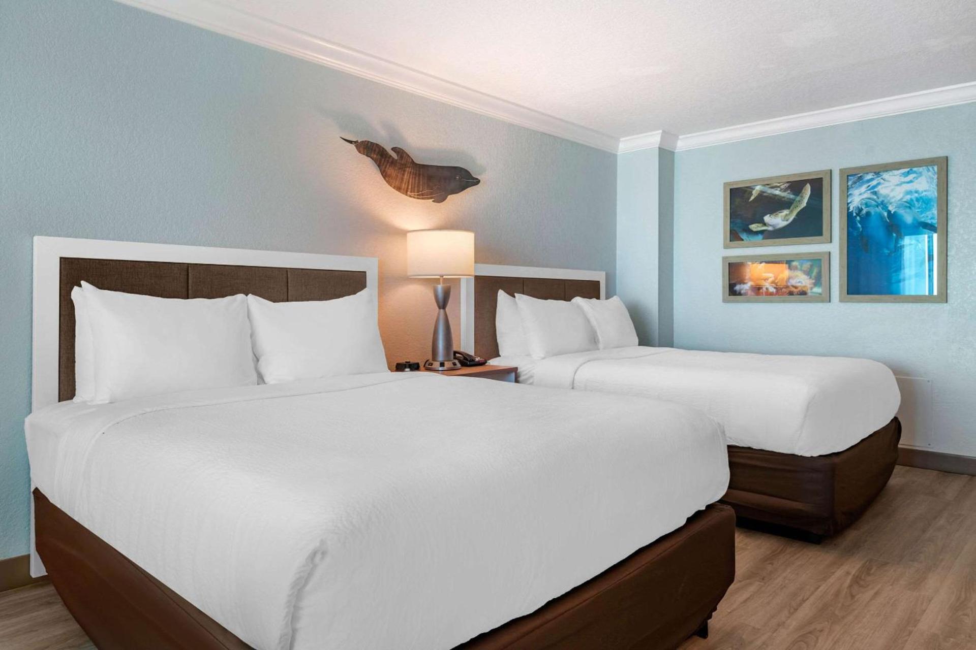 Dolphin Sands Clearwater Beach, an Ascend Collection Hotel photo 55