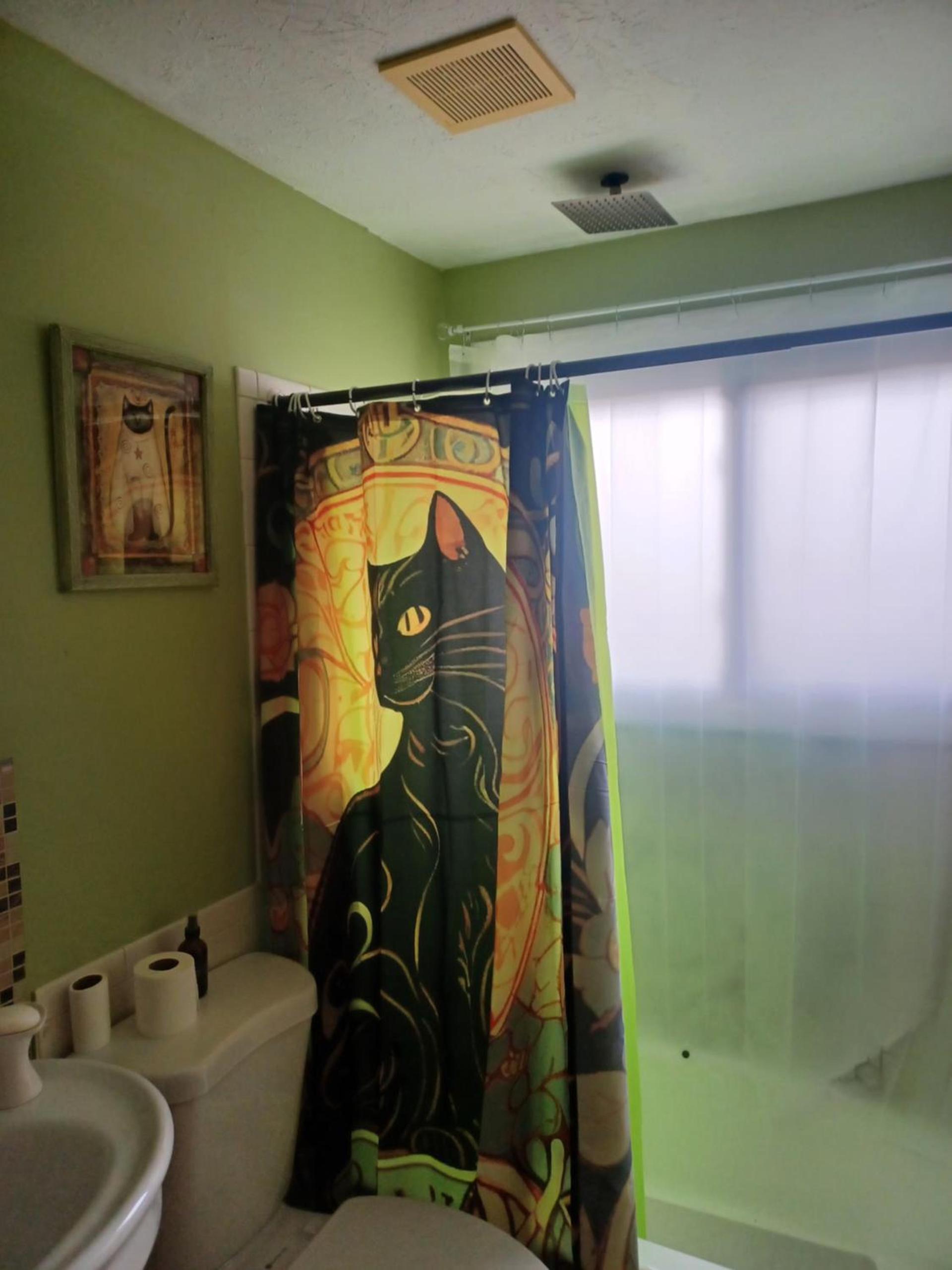 Molnar Manor photo 14