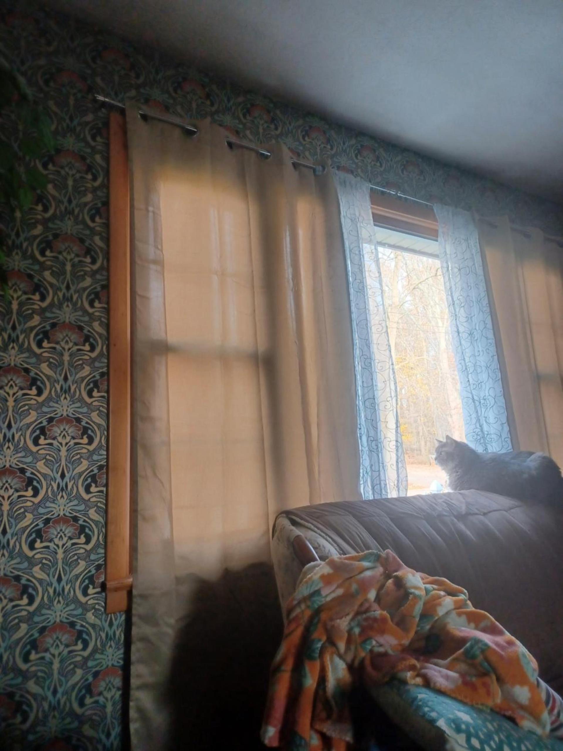 Molnar Manor photo 18