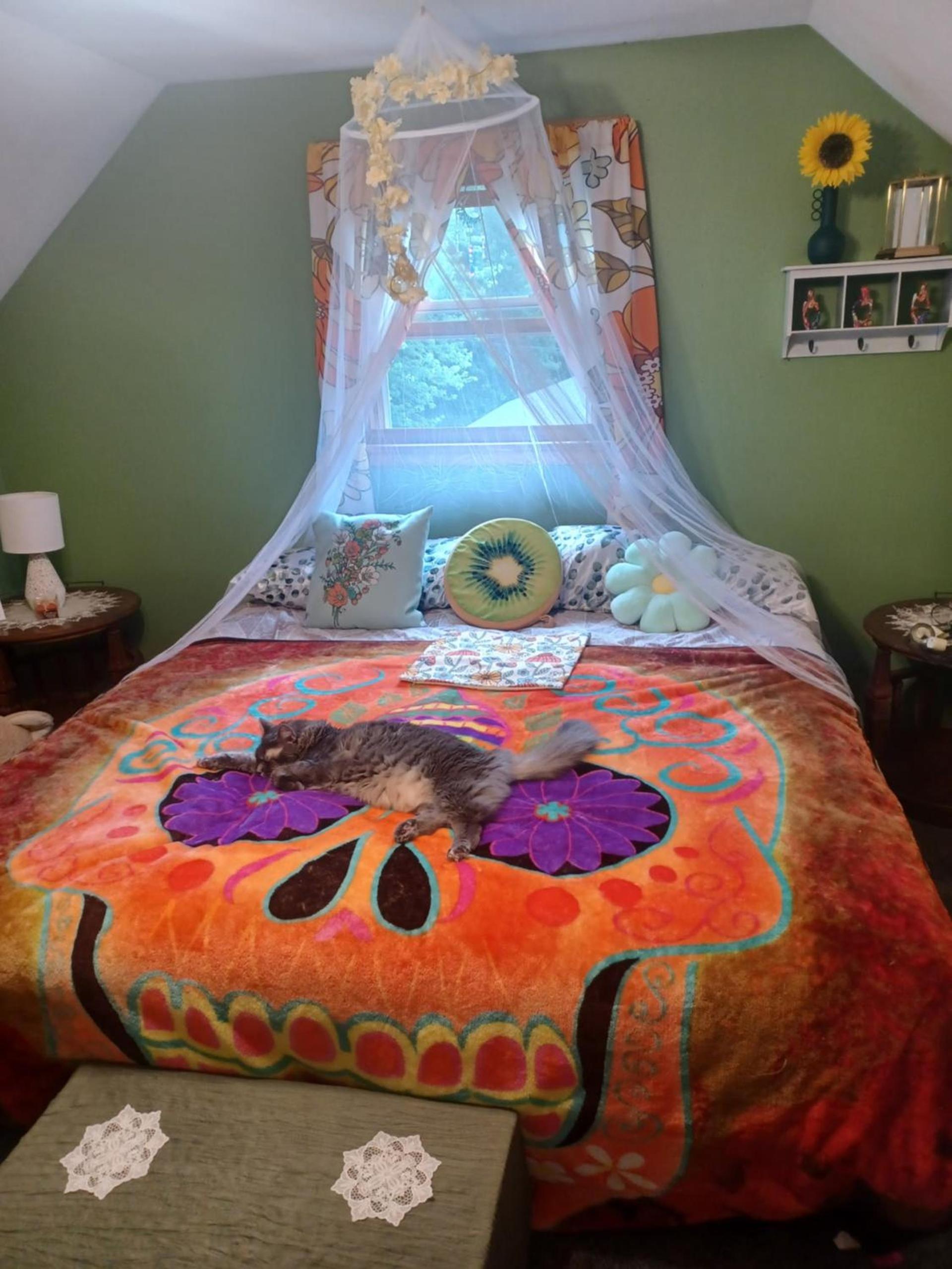 Molnar Manor photo 10
