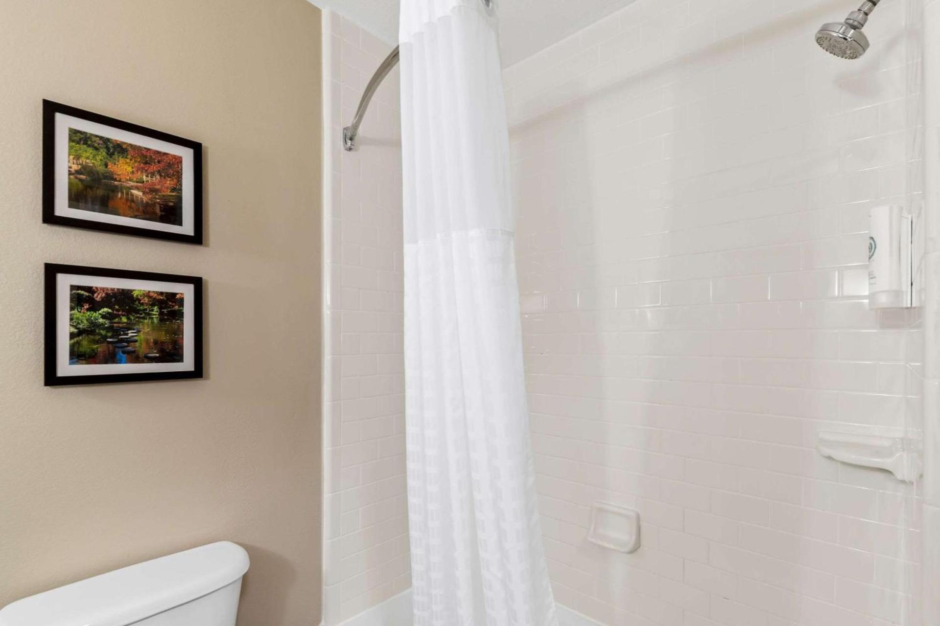 Comfort Suites Roanoke - Fort Worth North photo 20