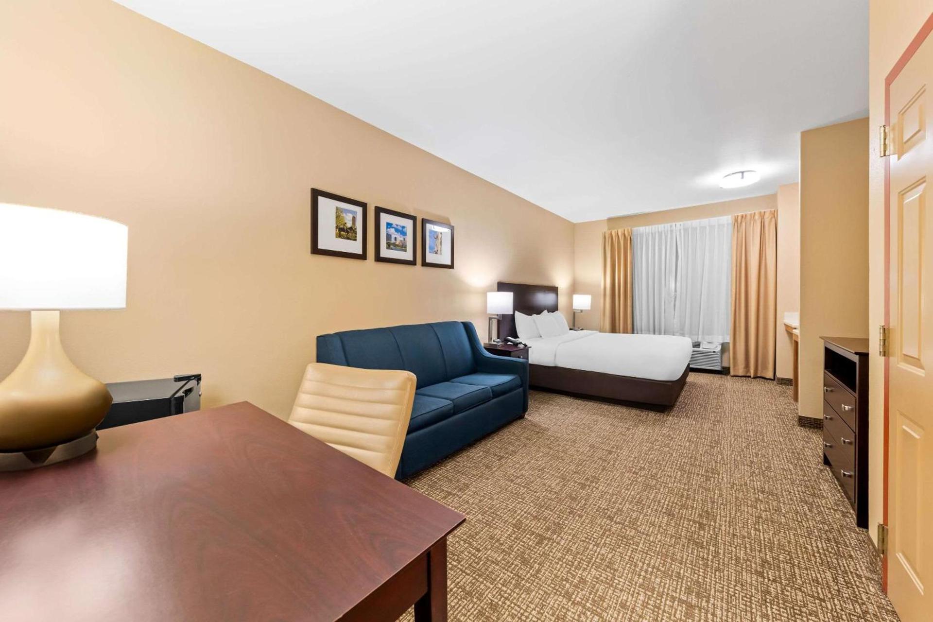 Comfort Suites Roanoke - Fort Worth North photo 30