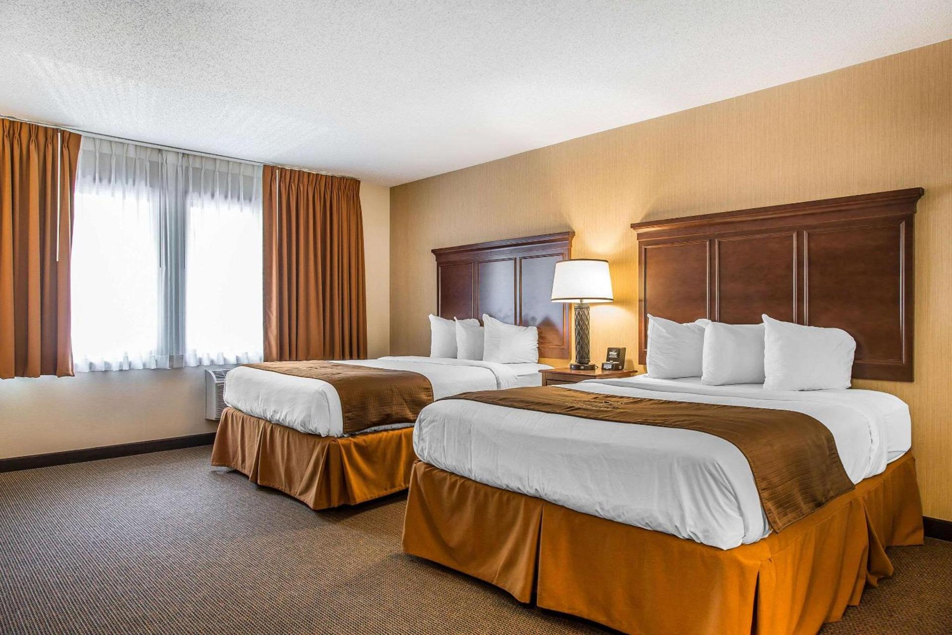 The Black Swan Lee - Lenox, an Ascend Collection Hotel photo 17