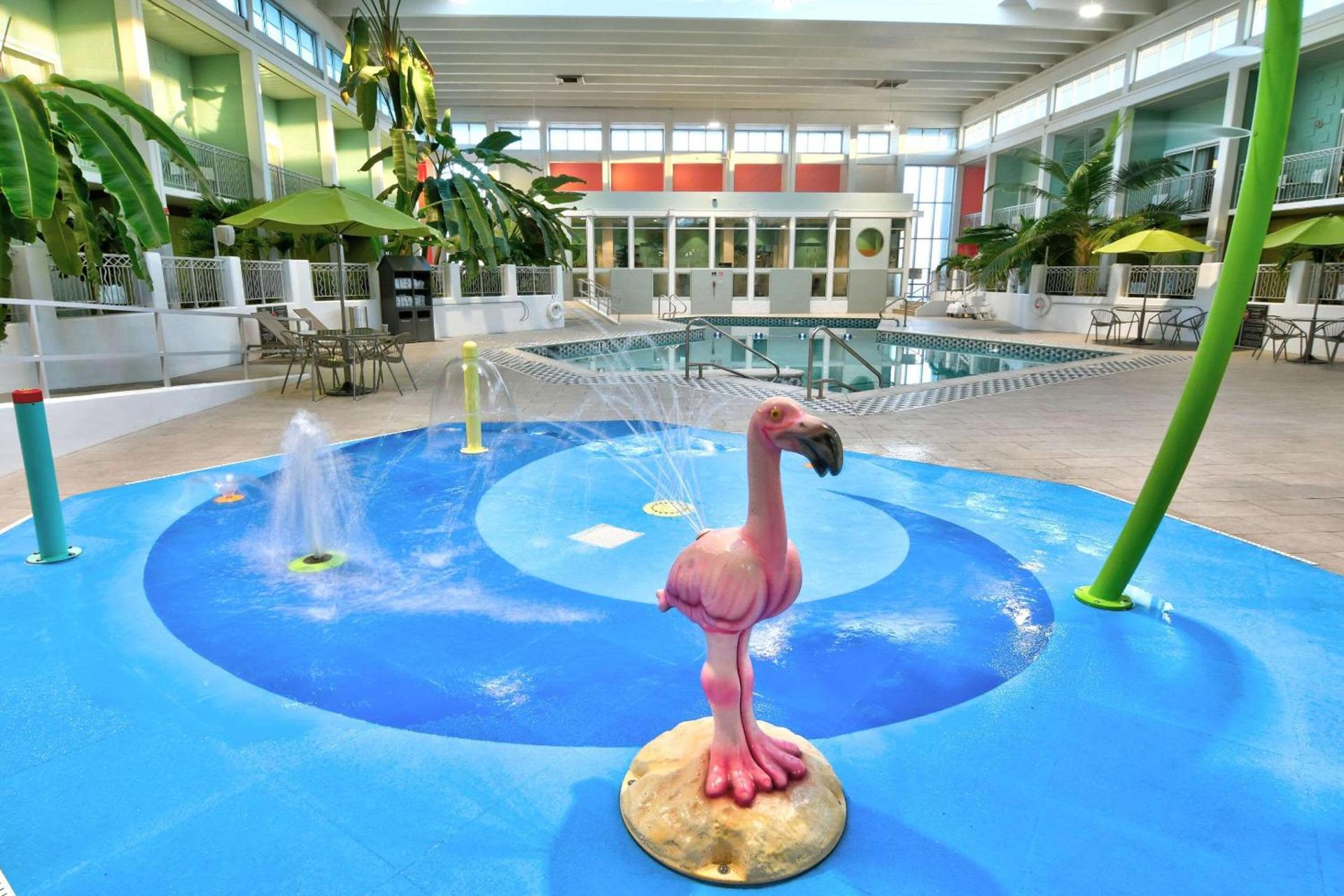 Oasis Hotel and Conv Center, an Ascend Collection Hotel photo 46