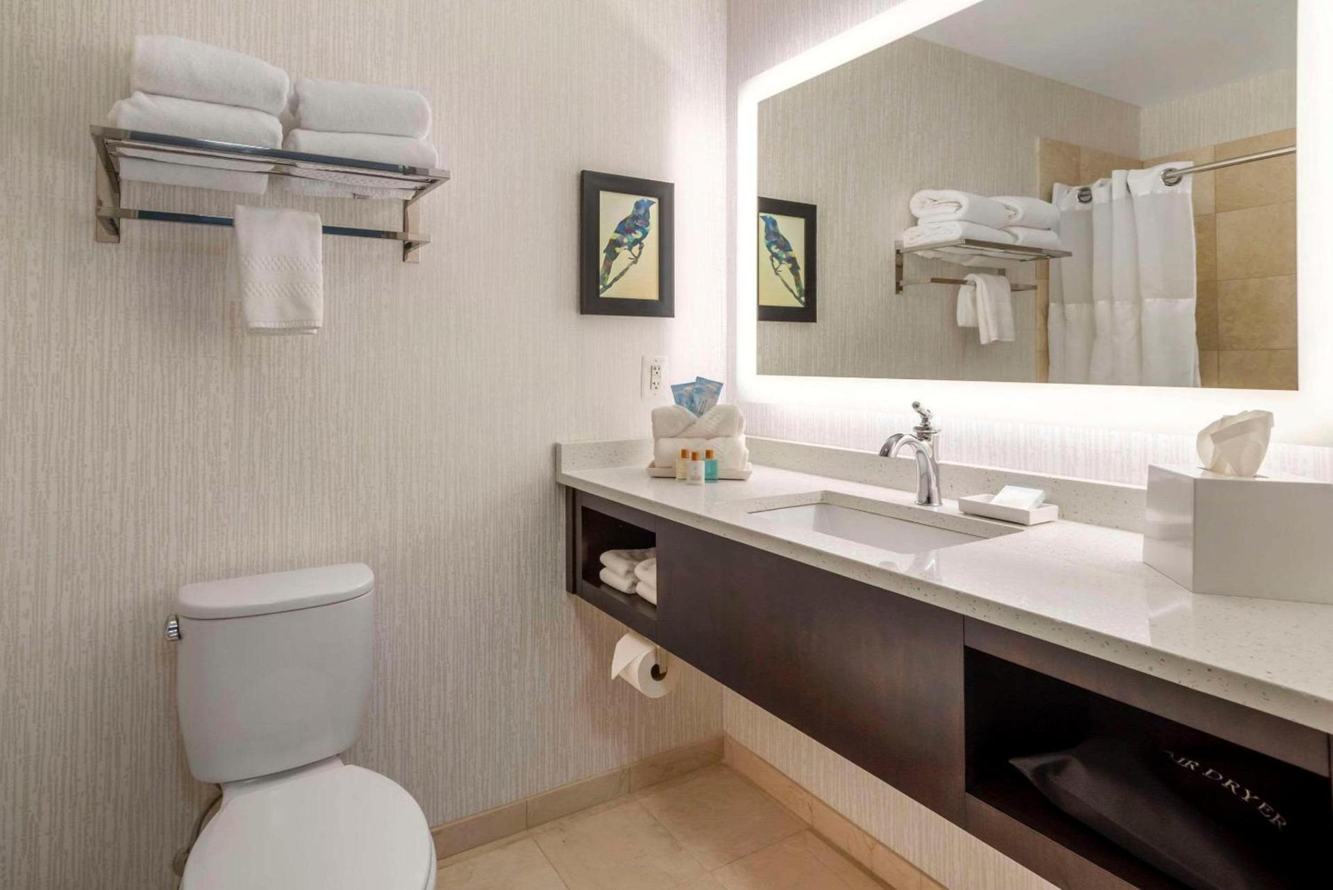 The Inn at Leonardtown, an Ascend Collection Hotel photo 16