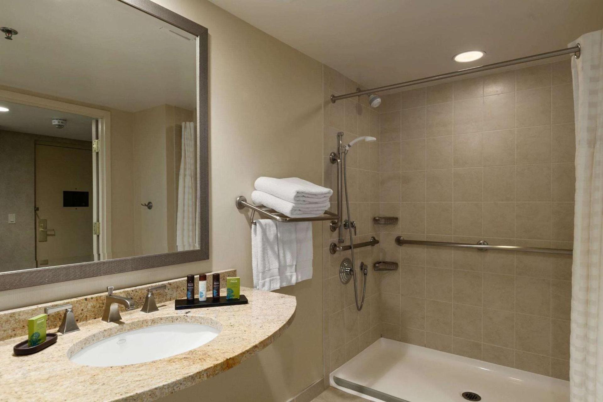 Embassy Suites by Hilton Philadelphia Valley Forge photo 58