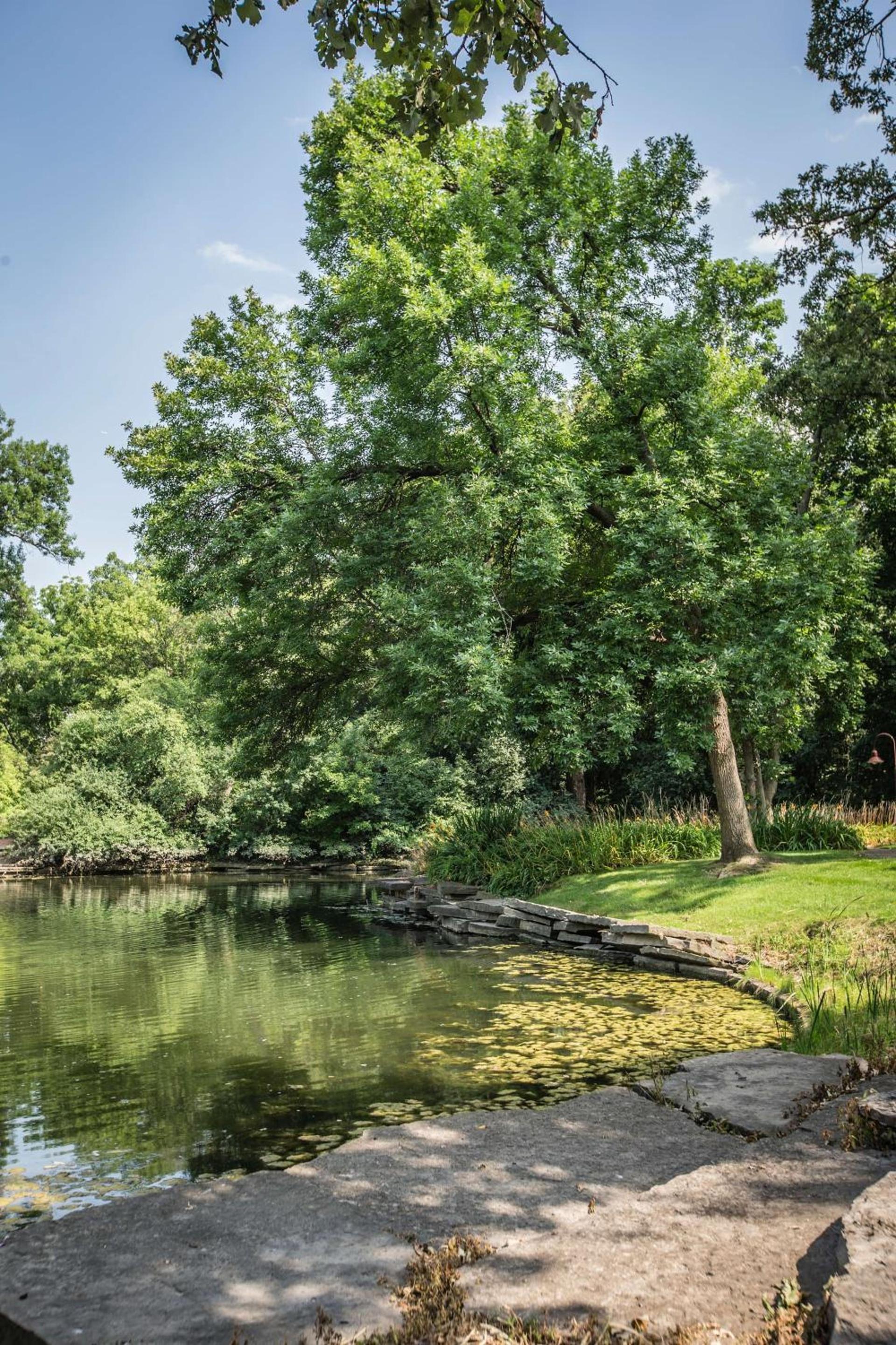 Hyatt Lodge Oak Brook Chicago photo 14