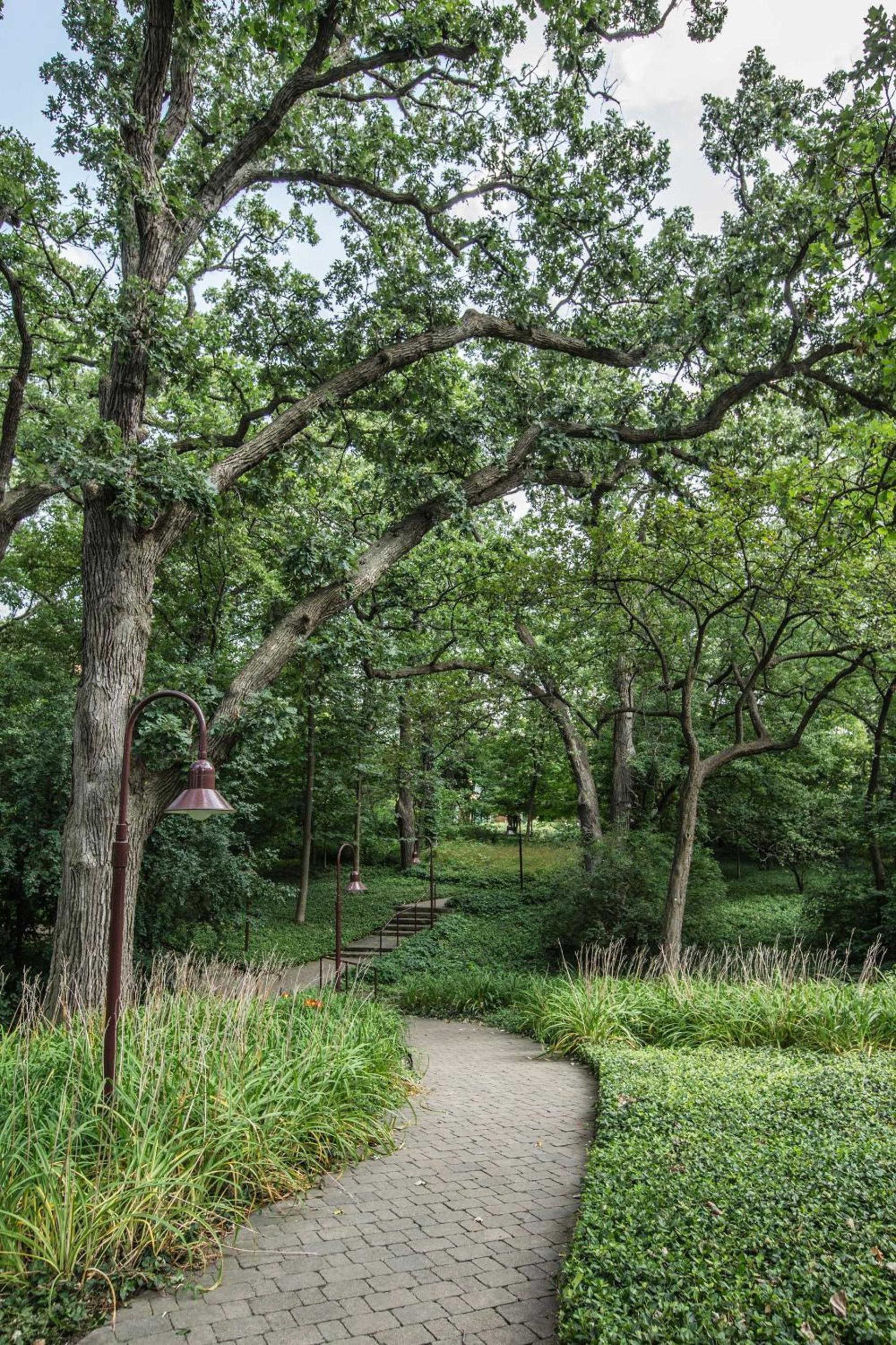 Hyatt Lodge Oak Brook Chicago photo 21