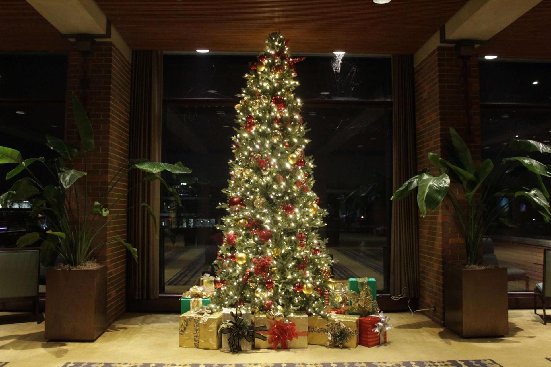 Hyatt Lodge Oak Brook Chicago photo 56