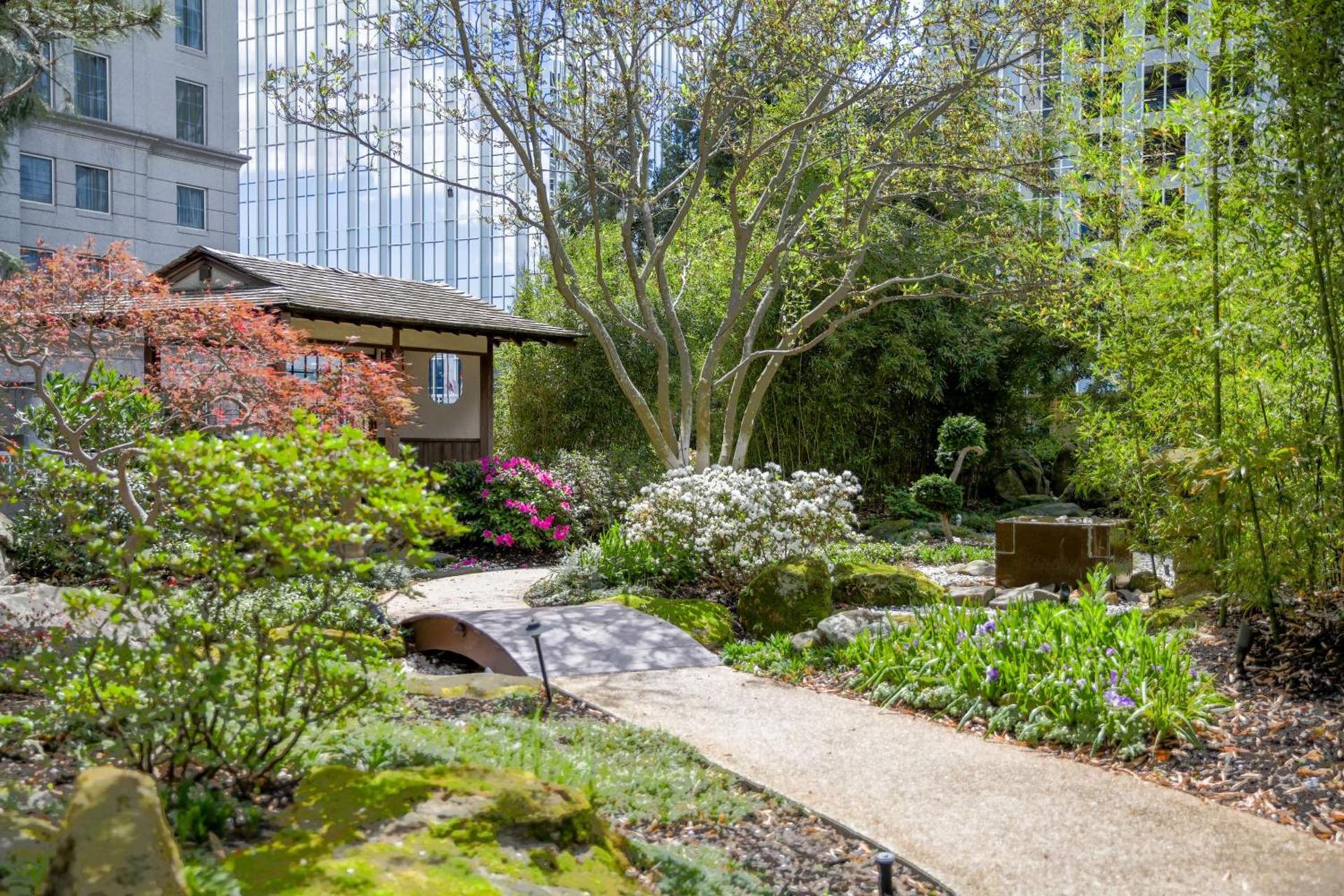 Grand Hyatt Atlanta in Buckhead photo 53