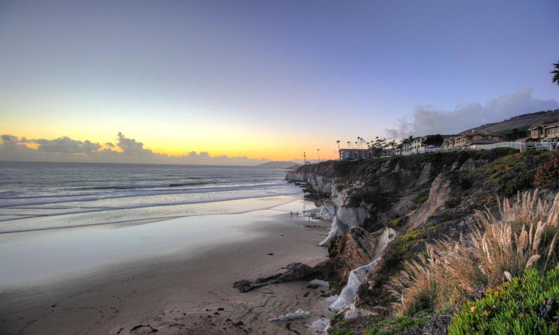 SeaCrest Oceanfront Hotel photo 40