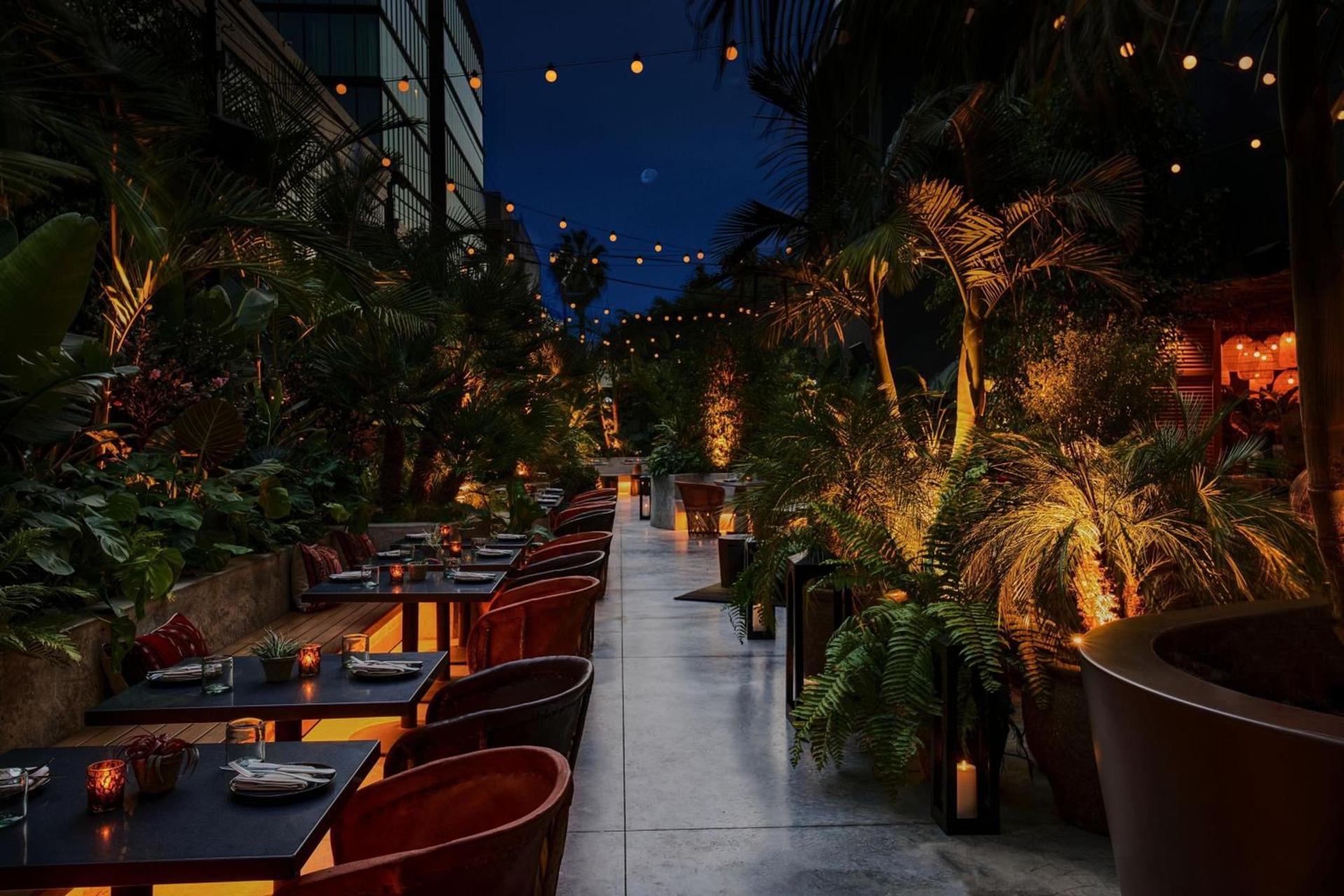HOLLYWOOD VOLUME, a Tribute Portfolio Hotel photo 23