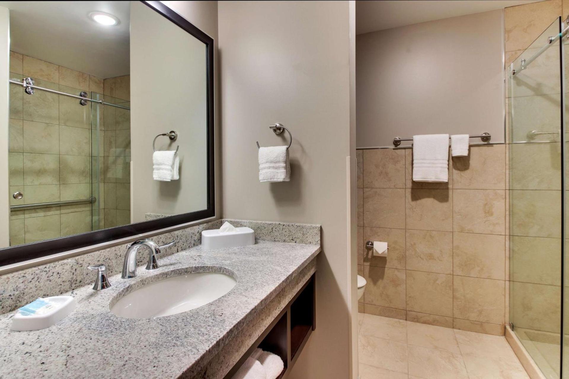 Drury Plaza Hotel Dallas Richardson photo 45