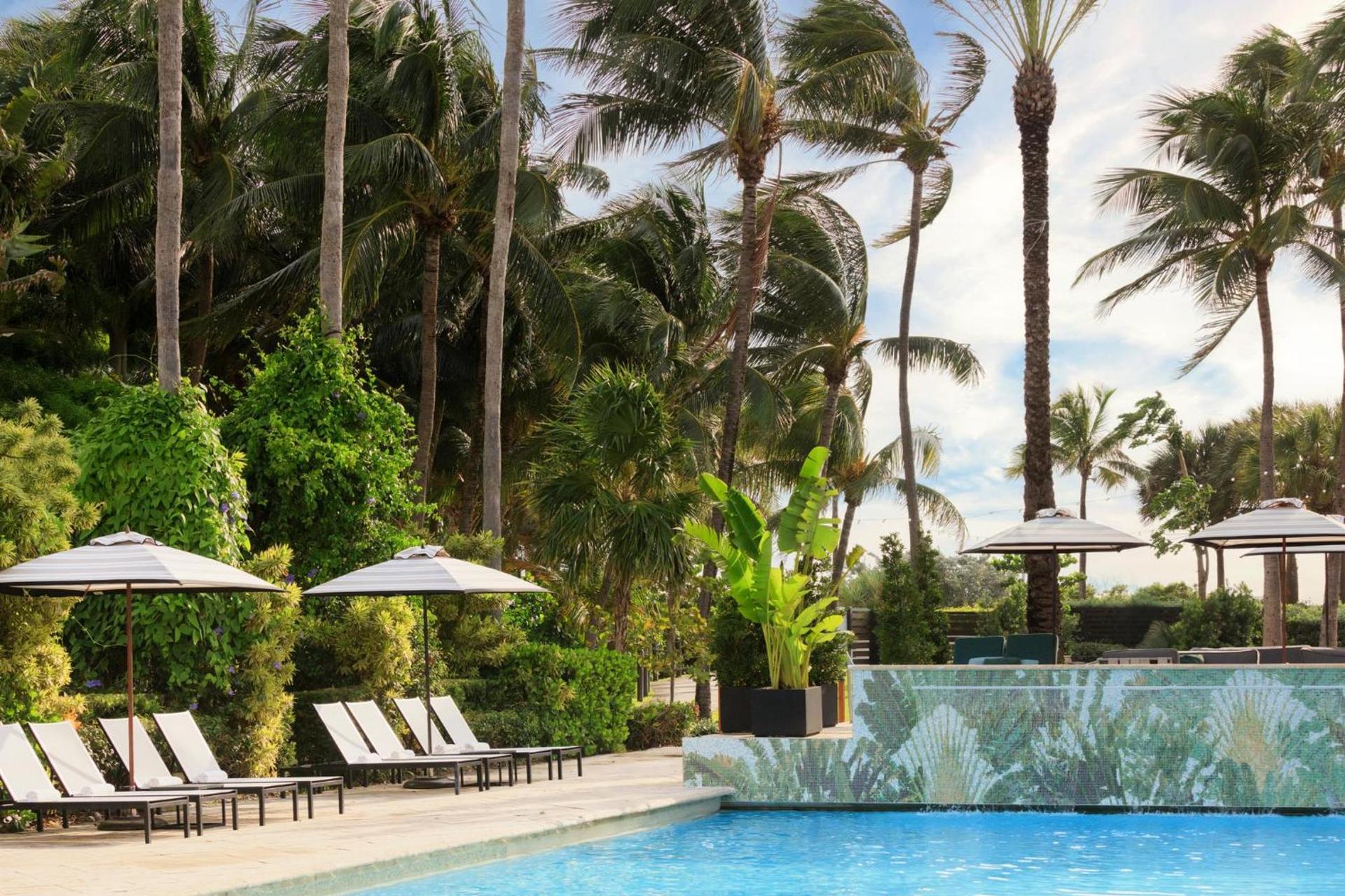 Kimpton Surfcomber Hotel by IHG photo 3