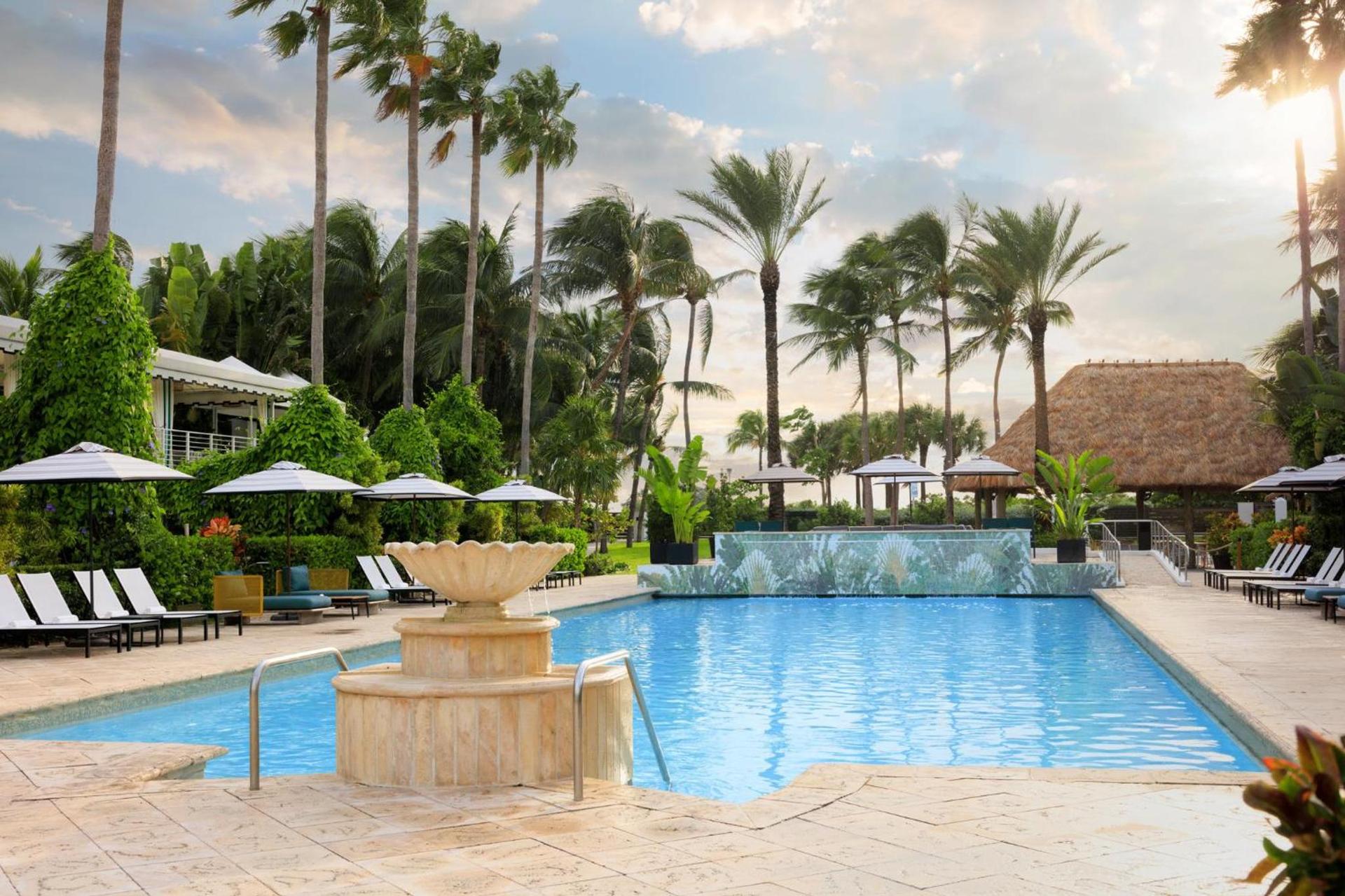 Kimpton Surfcomber Hotel by IHG photo 15