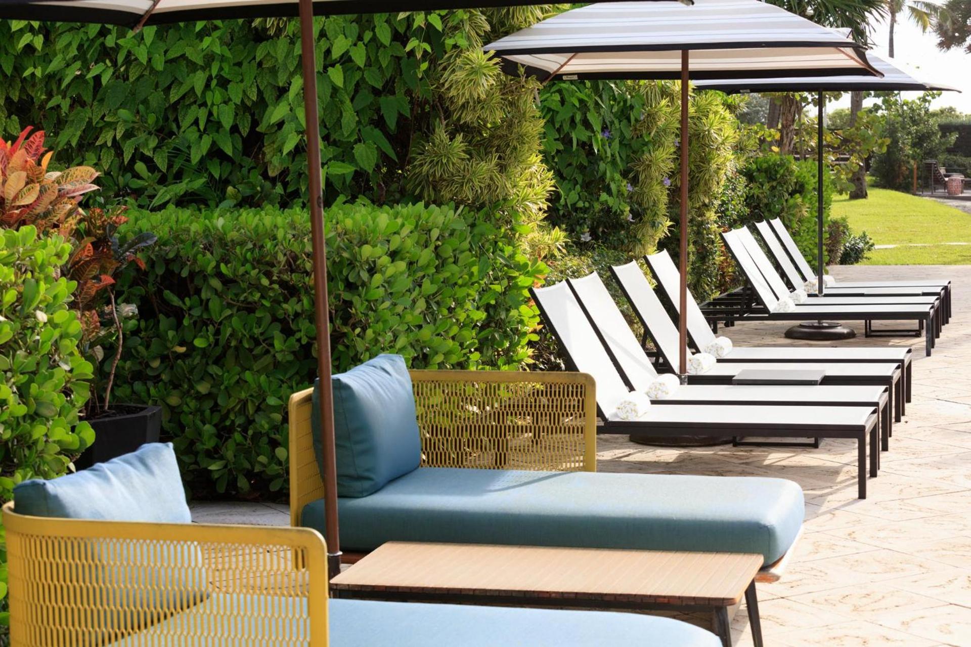 Kimpton Surfcomber Hotel by IHG photo 21