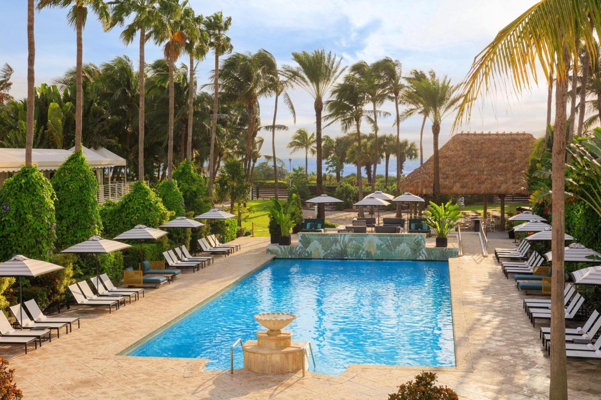 Kimpton Surfcomber Hotel by IHG photo 8