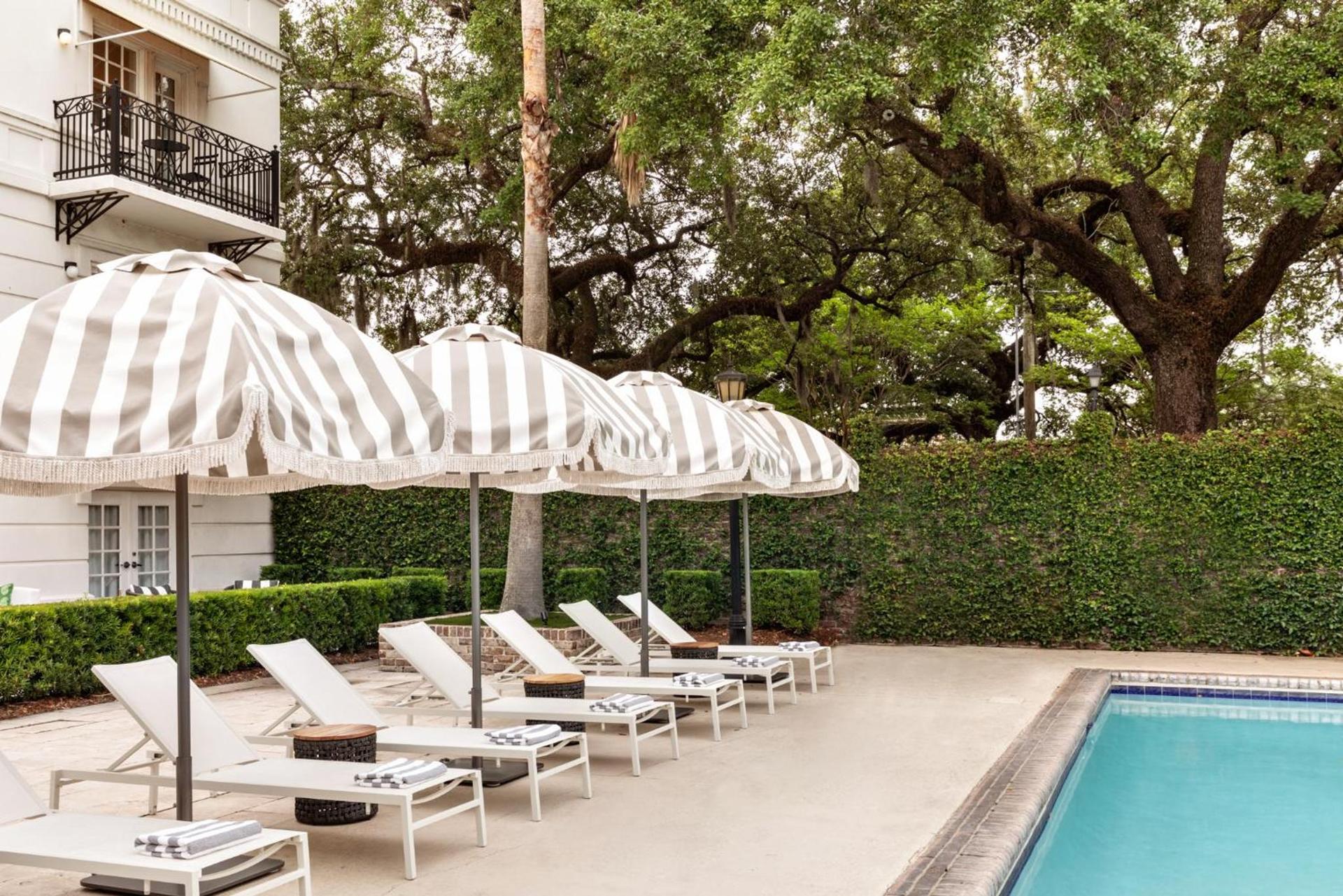 Kimpton Brice Hotel by IHG photo 6