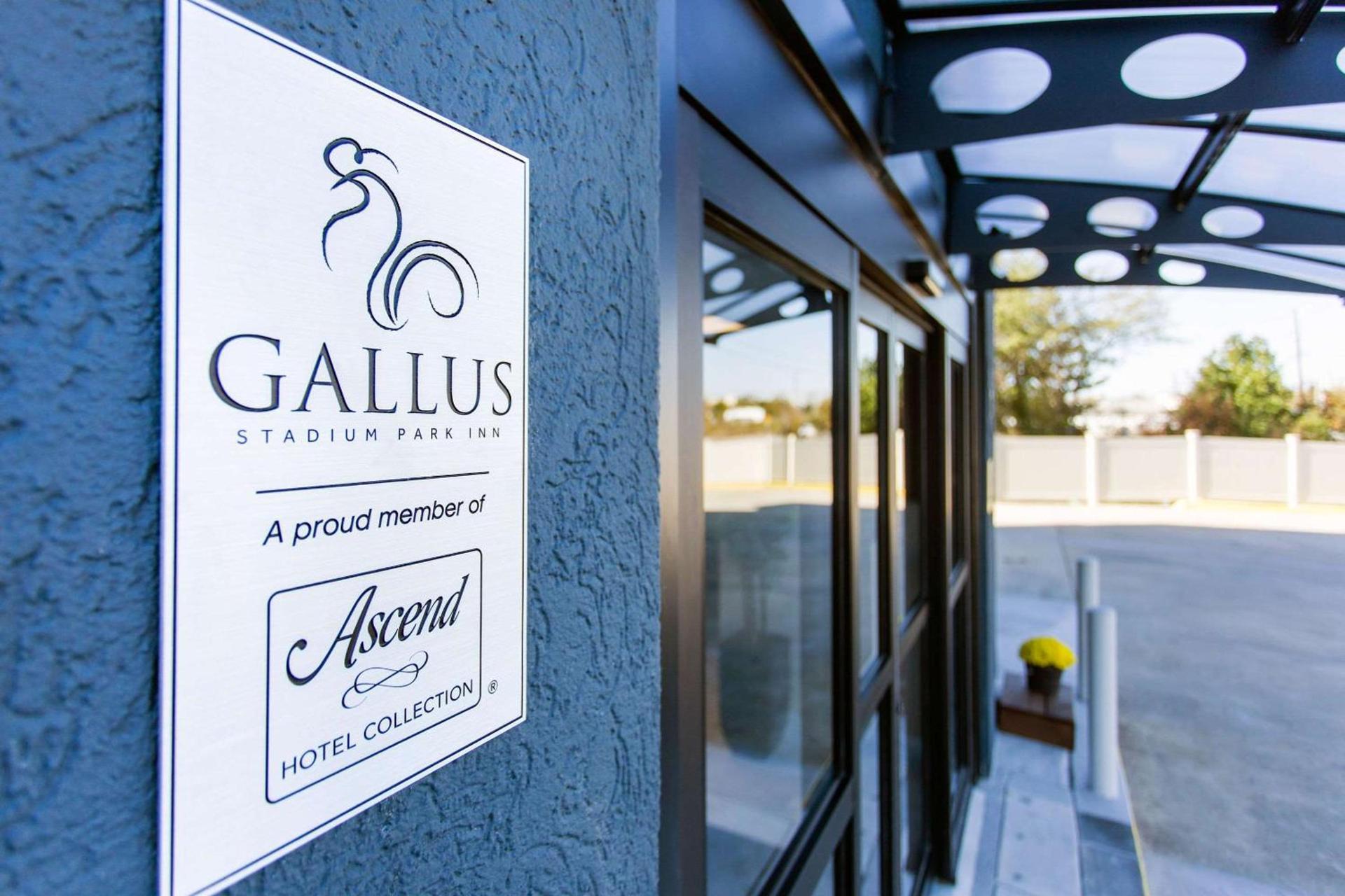 Gallus Stadium Park Inn, an Ascend Collection Hotel photo 2