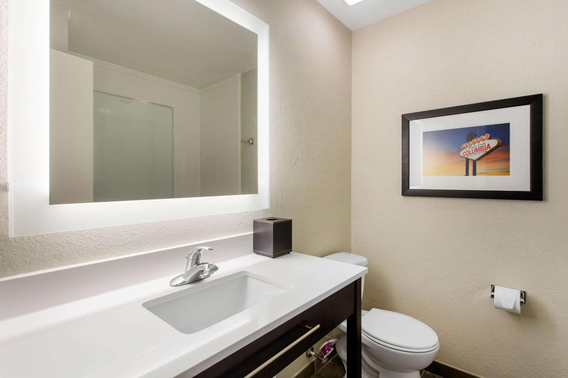 Gallus Stadium Park Inn, an Ascend Collection Hotel photo 19