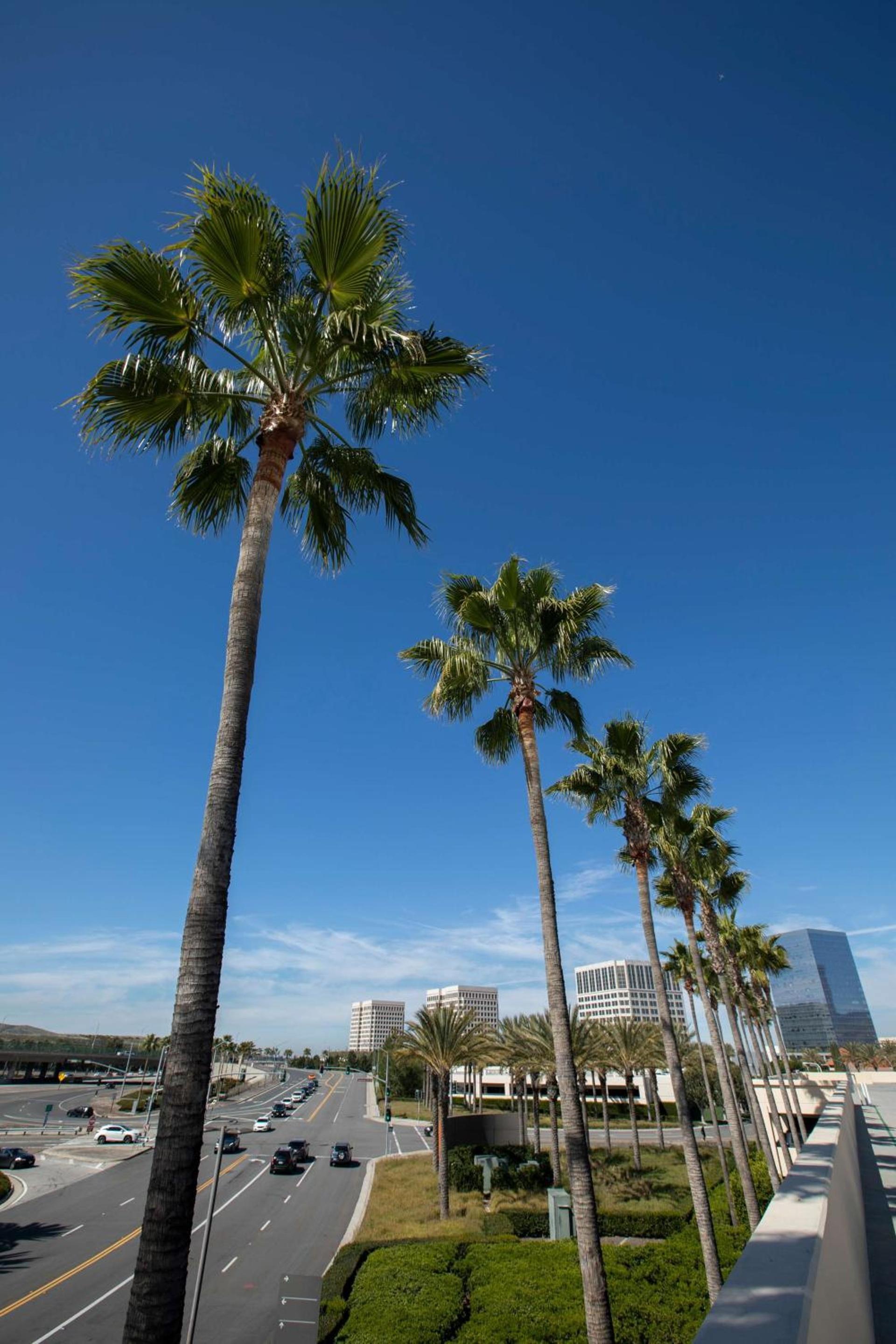 Hyatt Regency Irvine photo 7