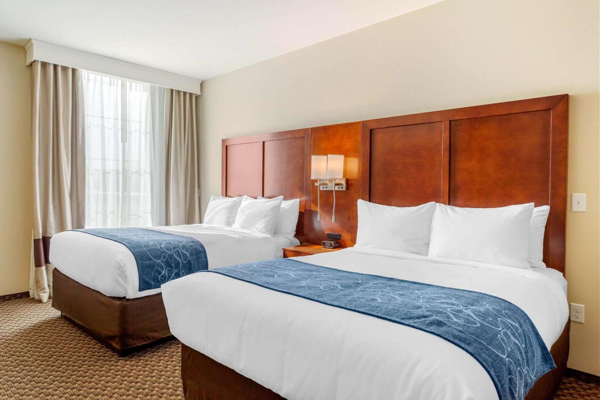 Comfort Suites Burlington near I-5 photo 28