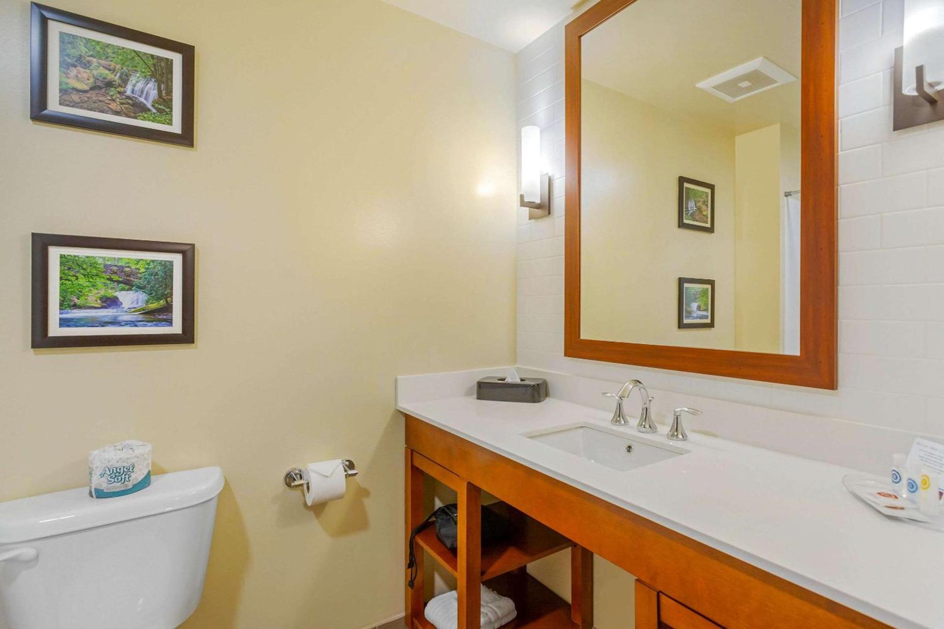 Comfort Suites Burlington near I-5 photo 36