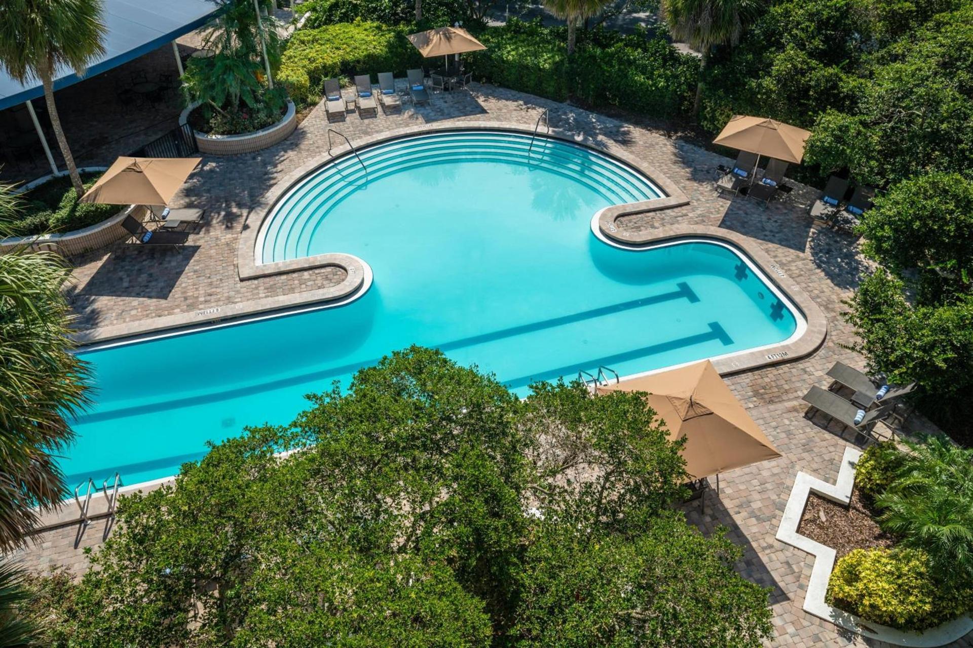 Sheraton Tampa Brandon Hotel photo 27