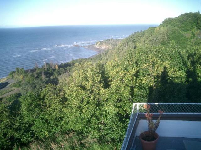 Alaska Adventure Cabins photo 68