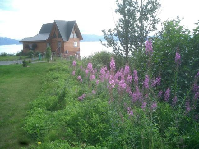 Alaska Adventure Cabins photo 72