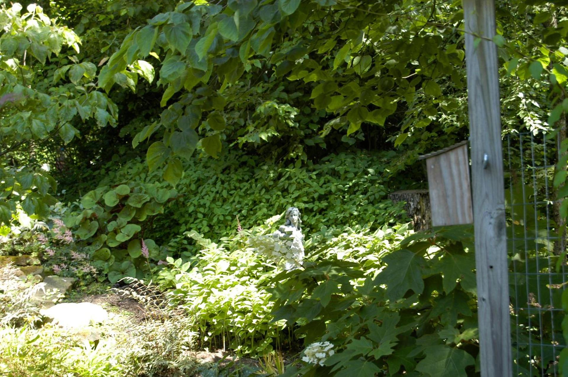 La grace de Dieu photo 45