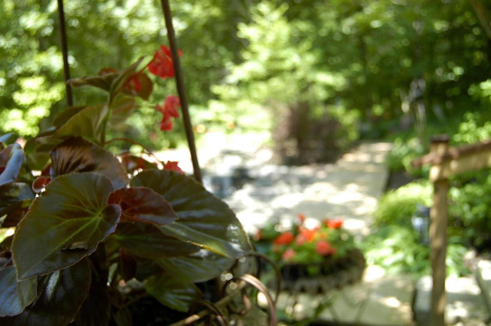 La grace de Dieu photo 52