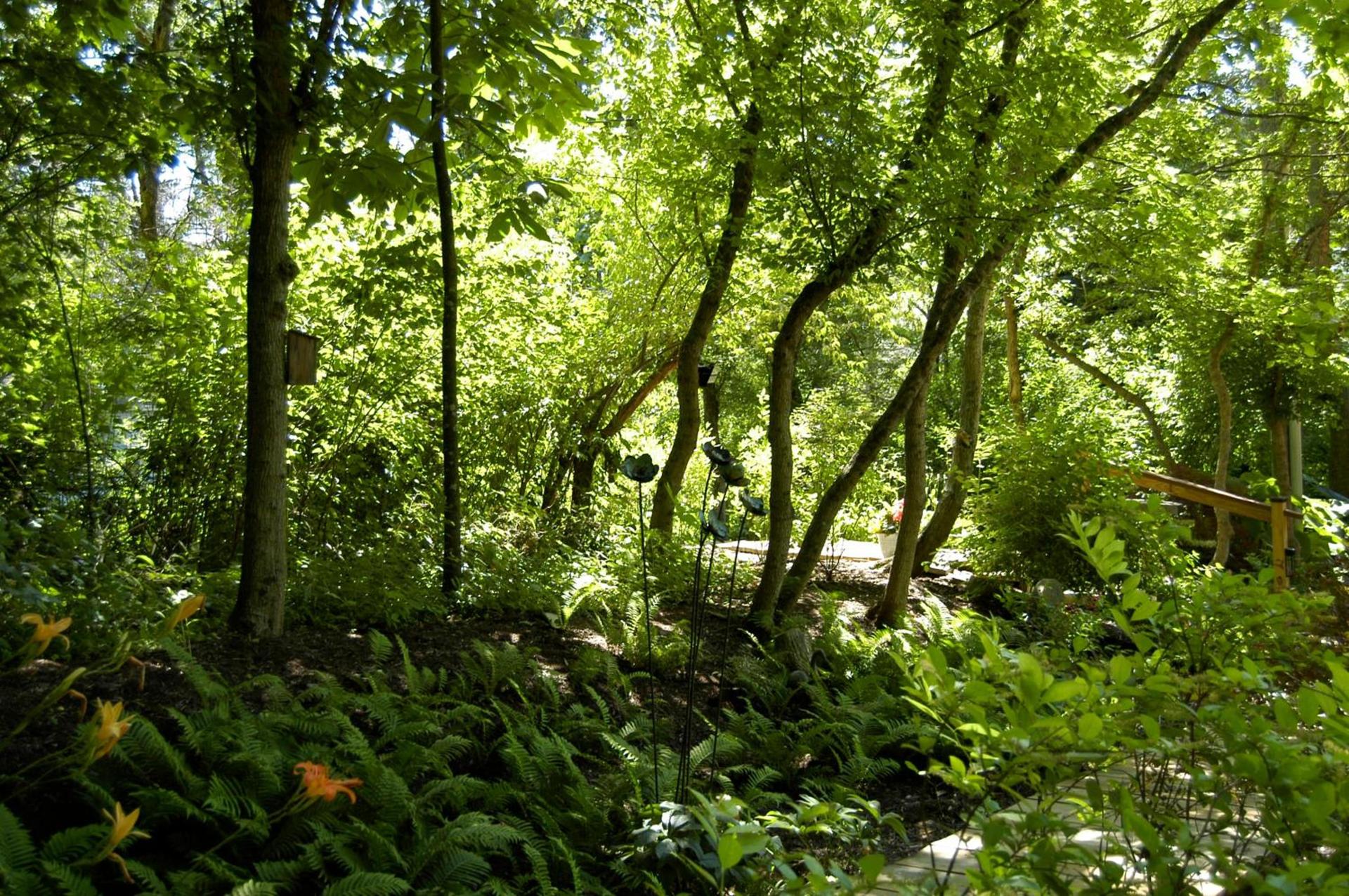 La grace de Dieu photo 53
